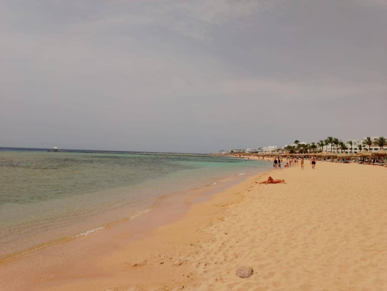 SUNNY BEACH resort apartment for rent in Montazah — 2