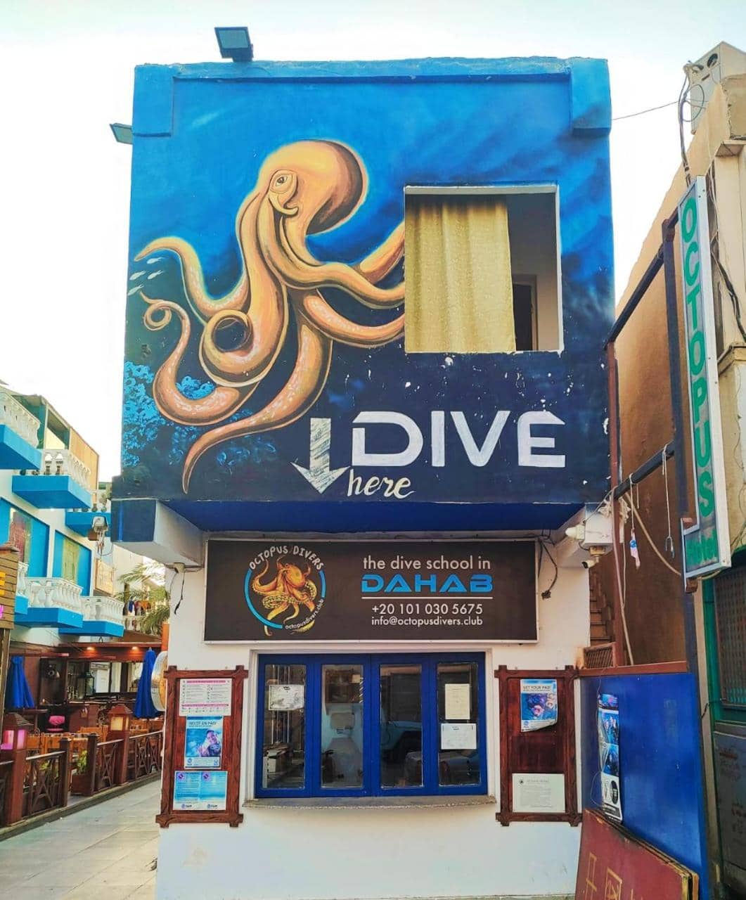 Dahab House Octopus apartment