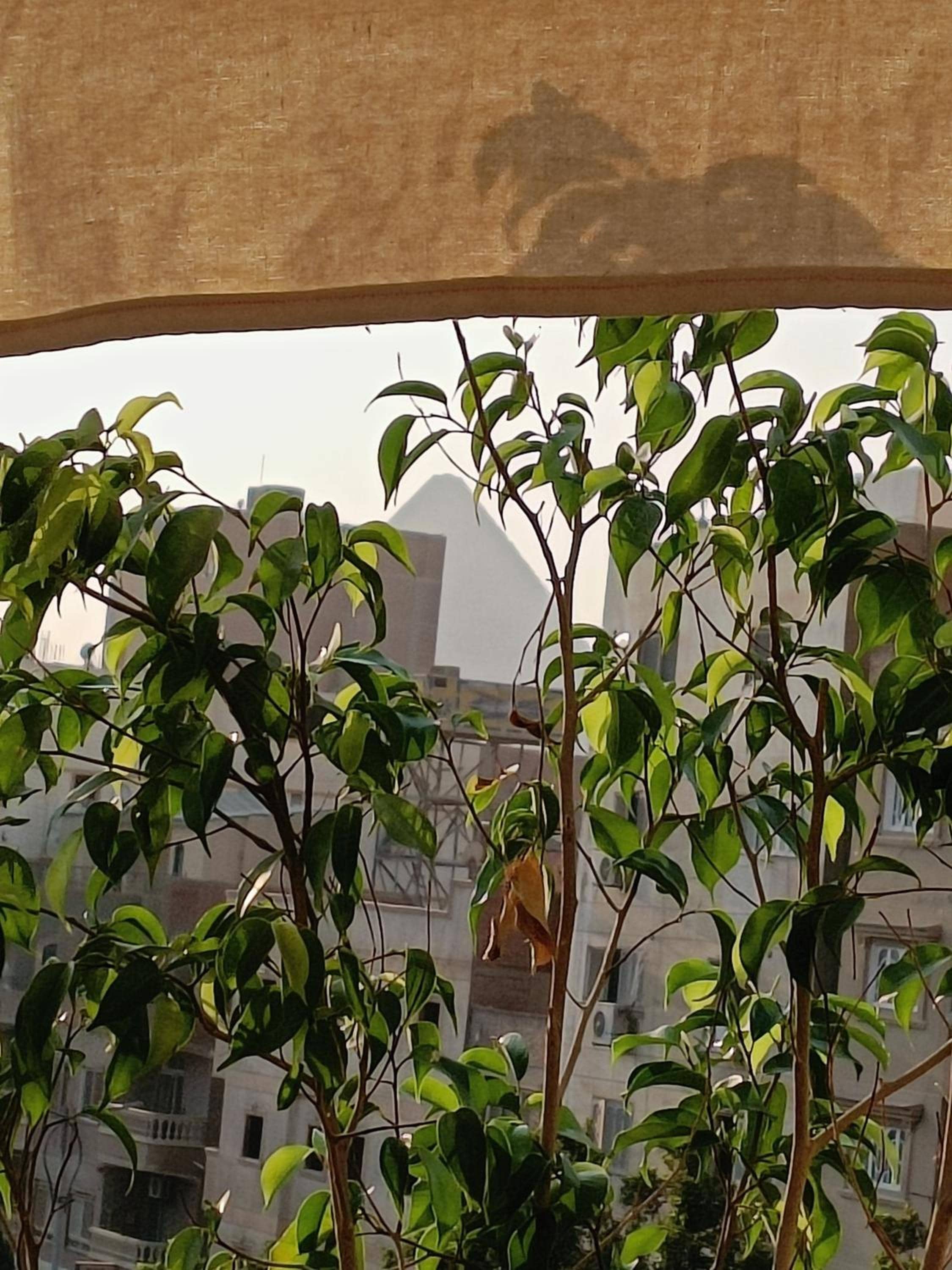 Discover pyramids inn — 4