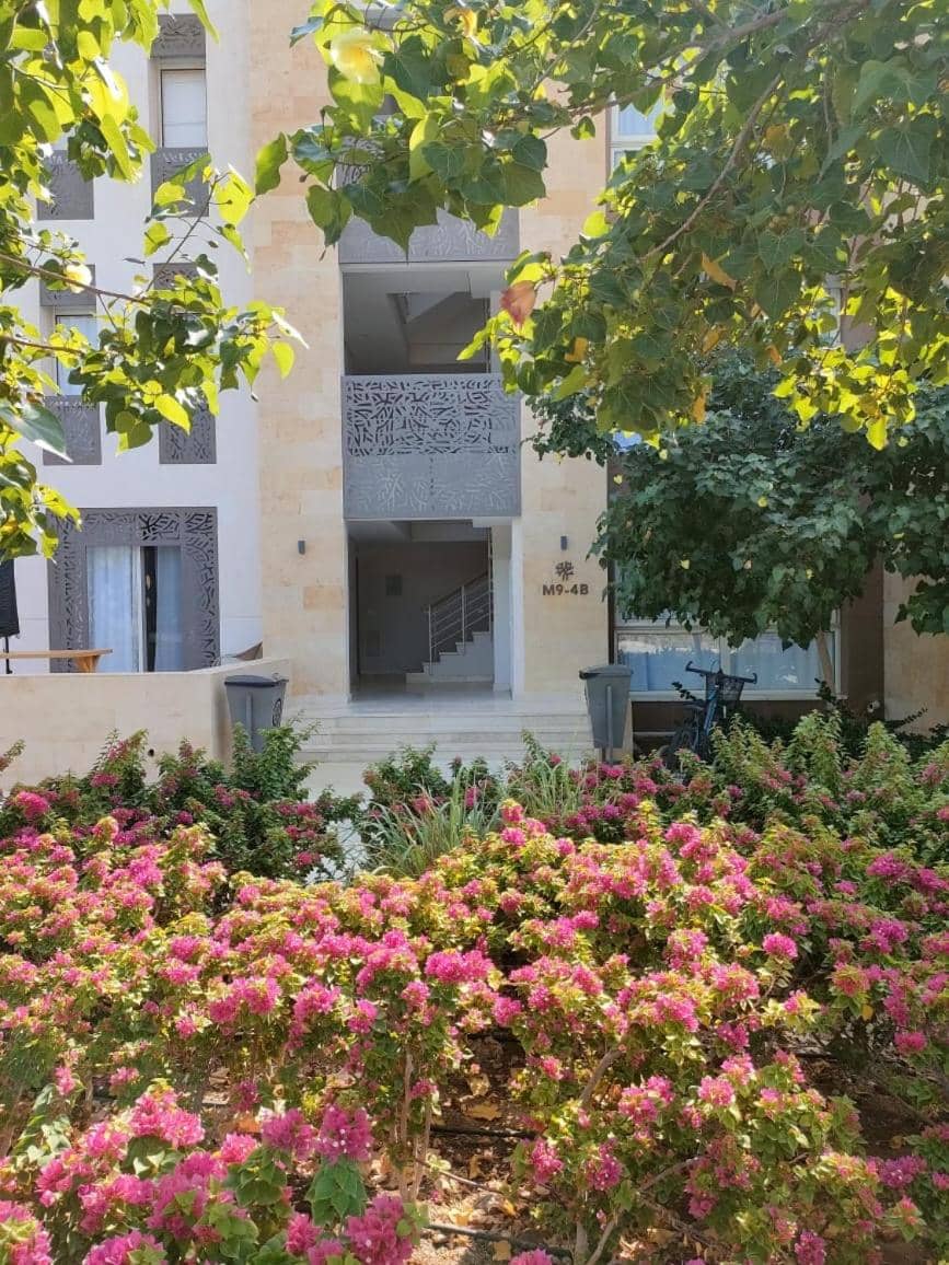 Mangroovy Gouna 1 BR apartment