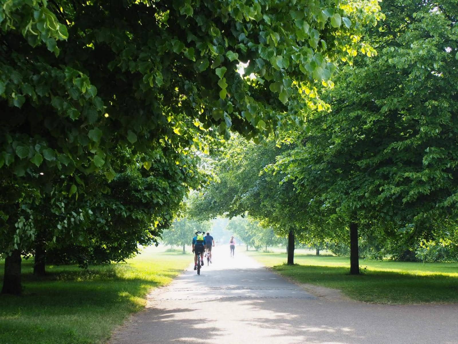 DoubleTree by Hilton London - Hyde Park — 4
