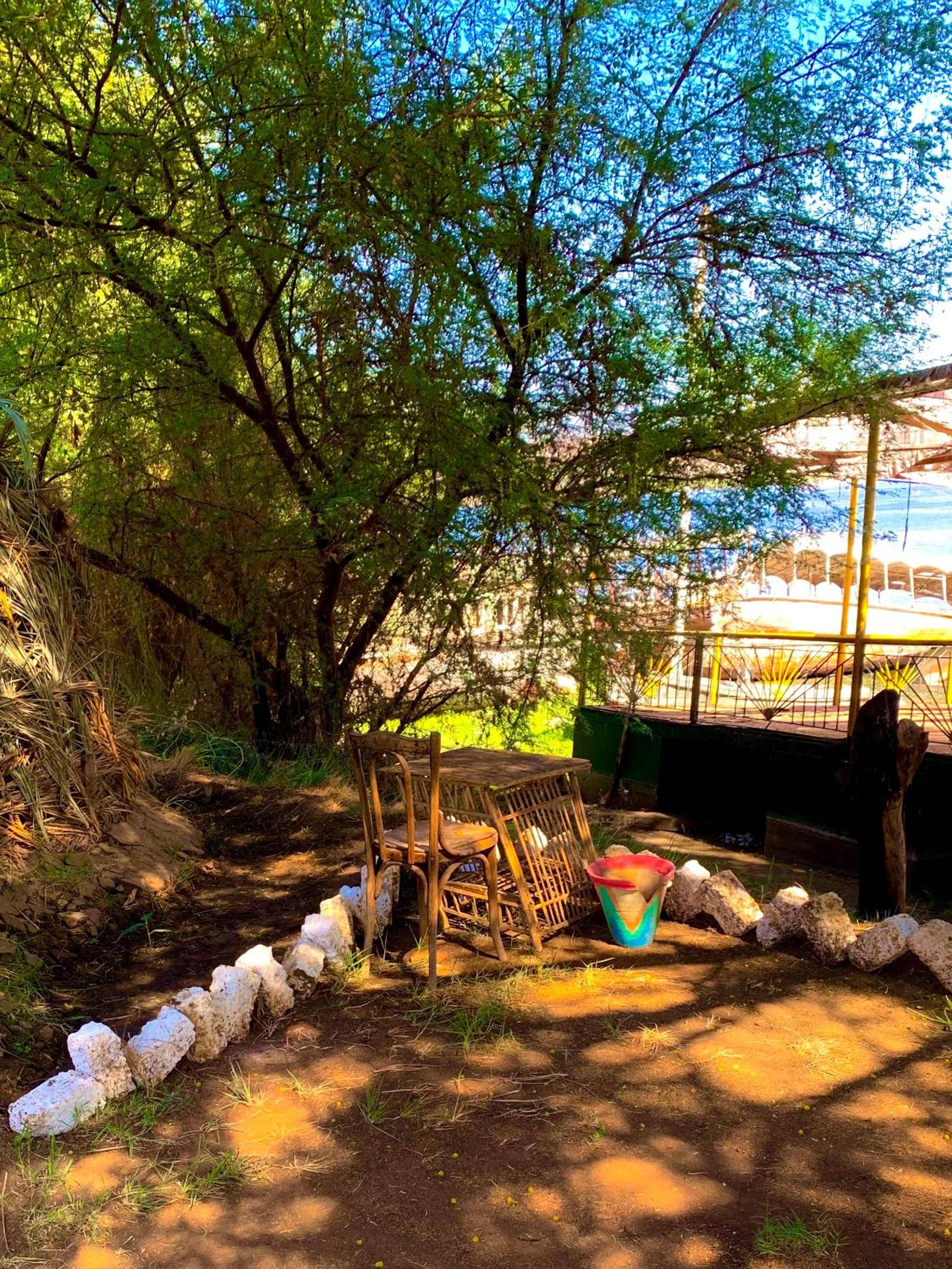 Salatoos Mango Garden and Guesthouse — 2