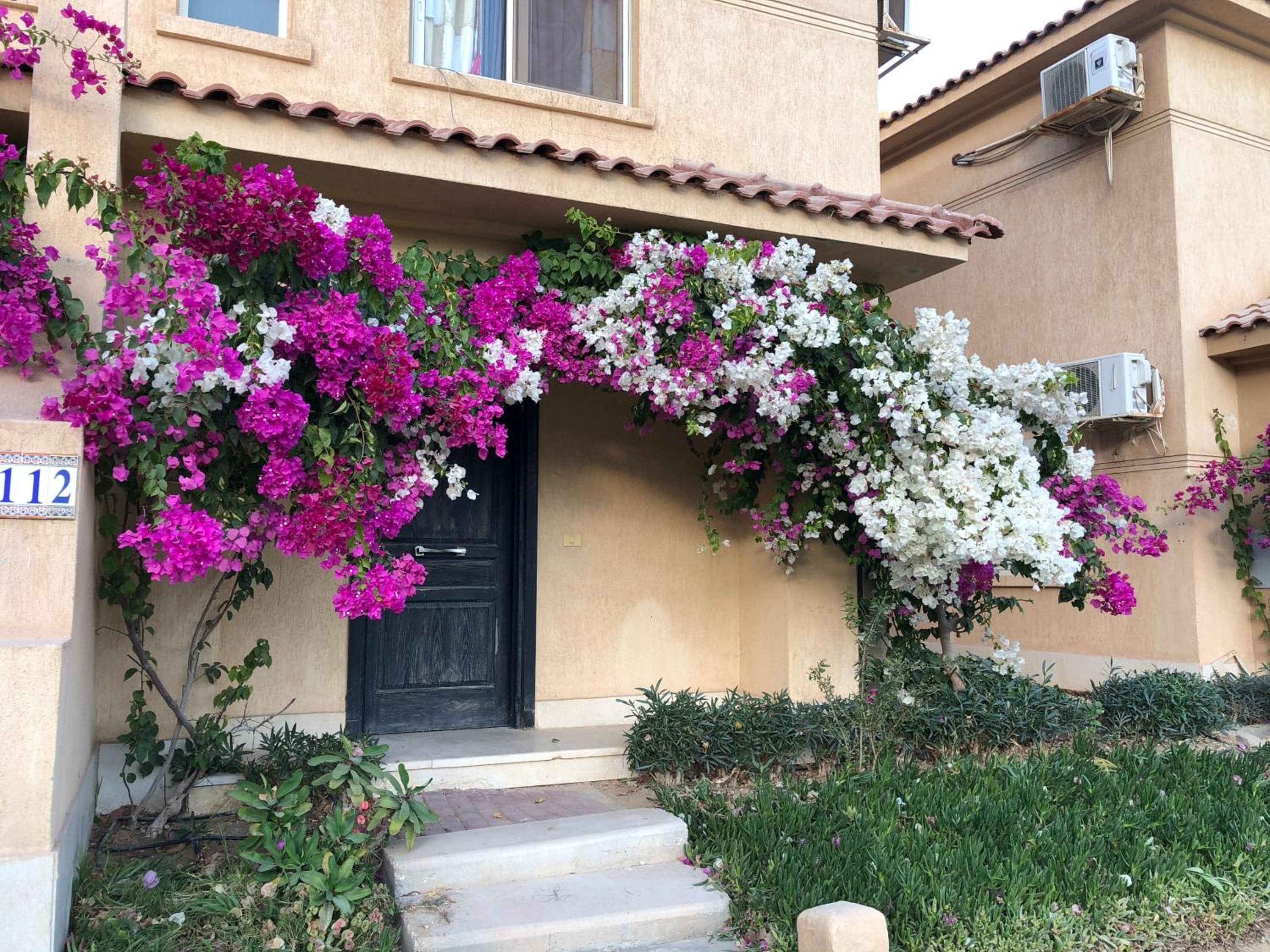 Telal sokhna villa families only