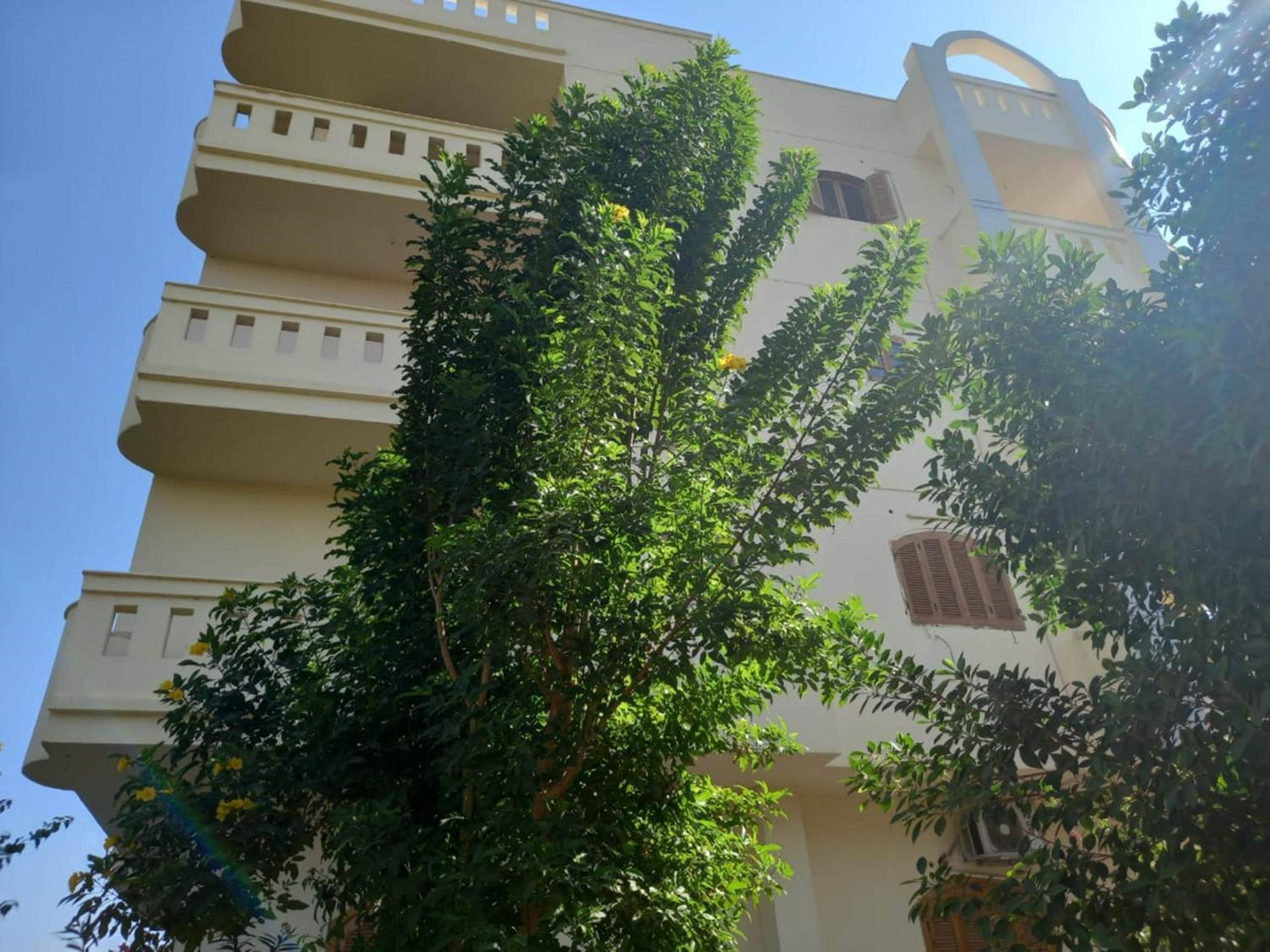 Elsanosy Family Guest House - Luxor