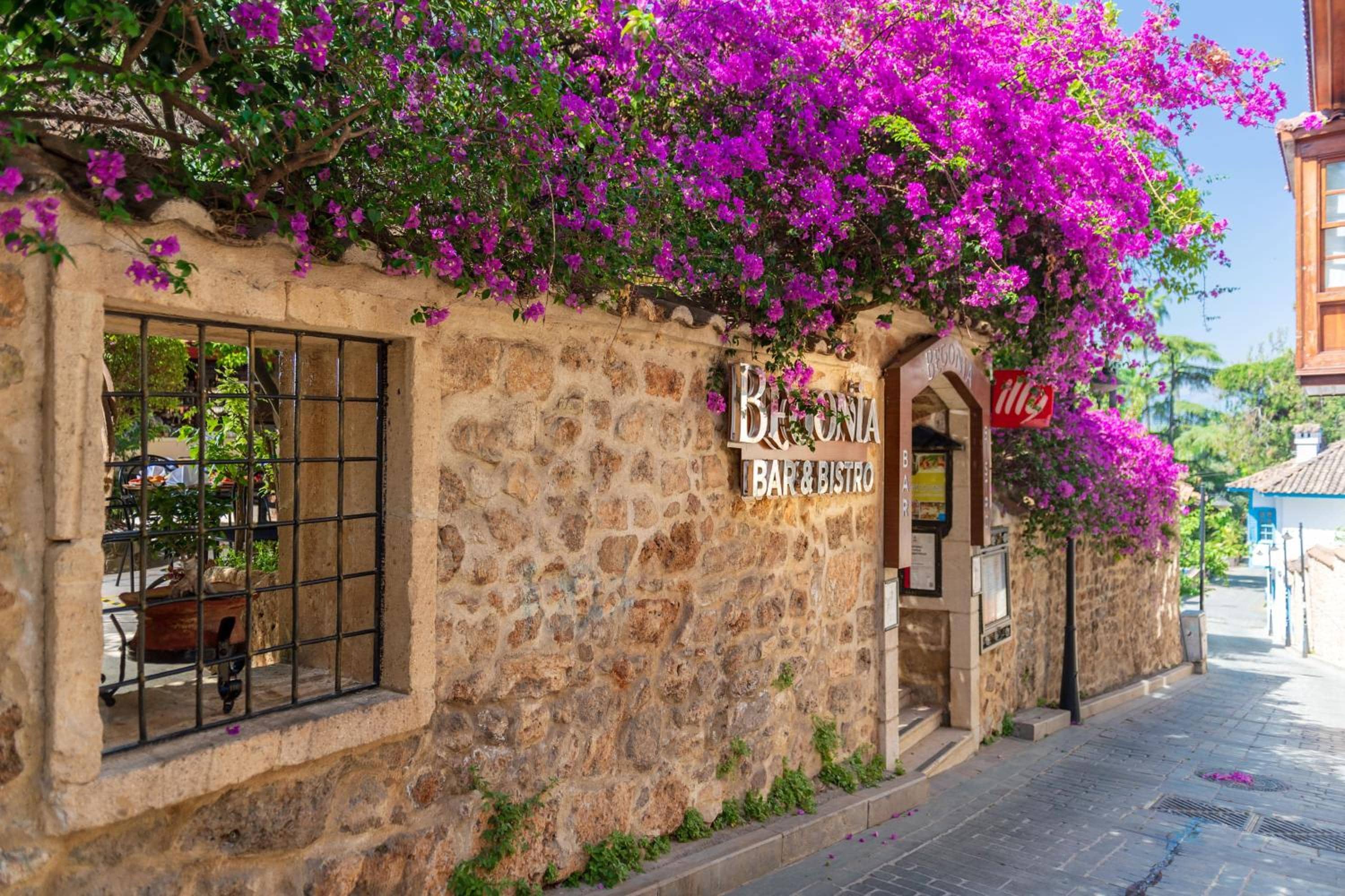 Dogan Hotel — 4