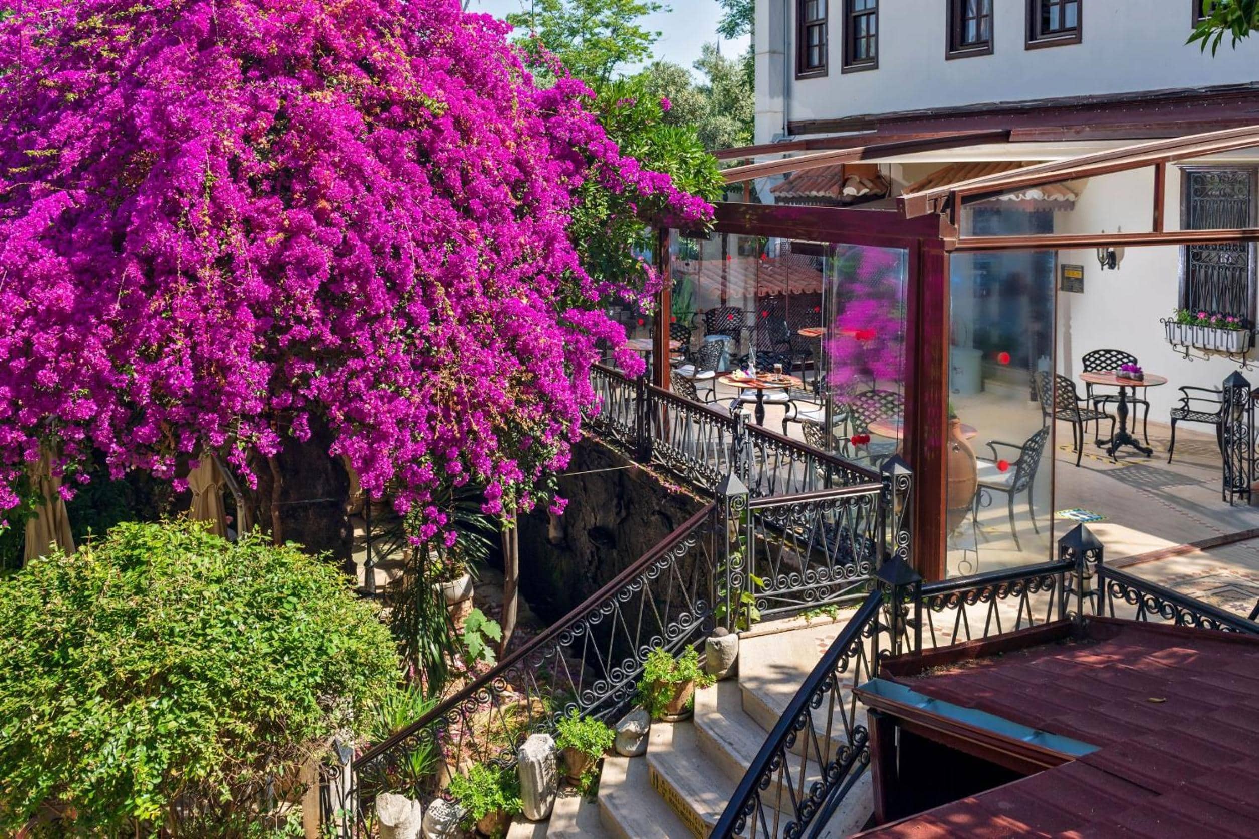 Dogan Hotel — 3