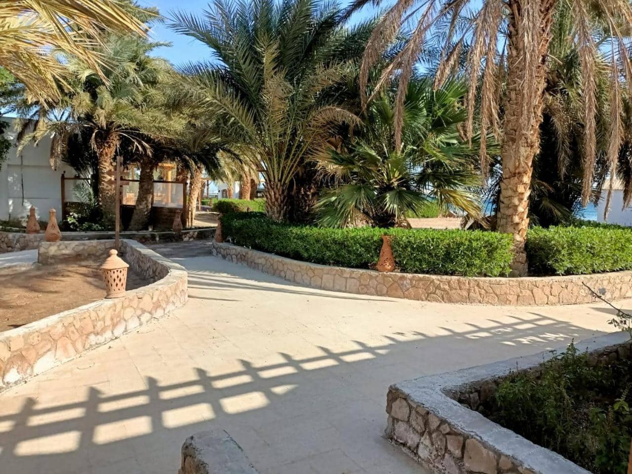 Sun Beach Hotel Safaga — 4