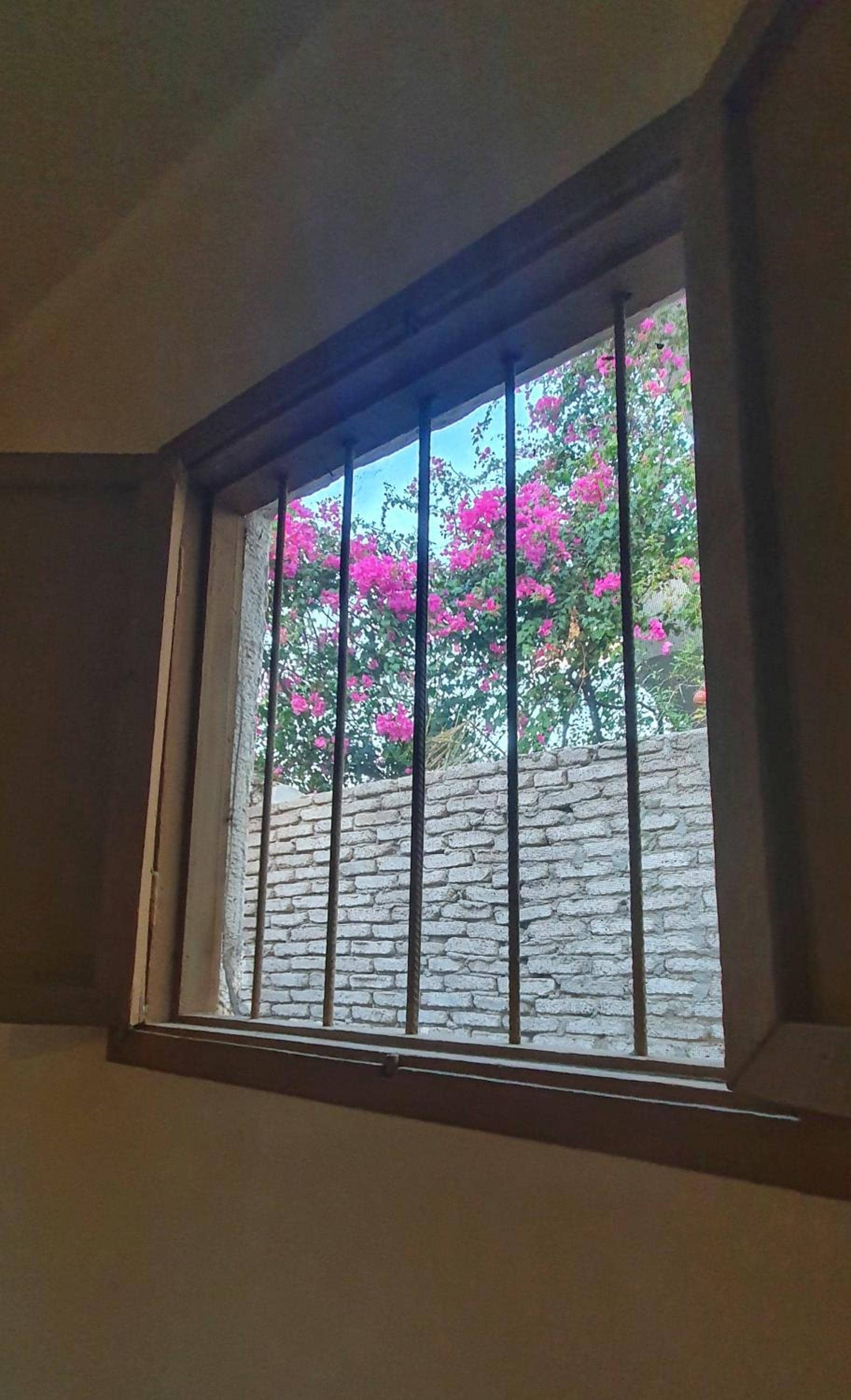 Dahab house — 3
