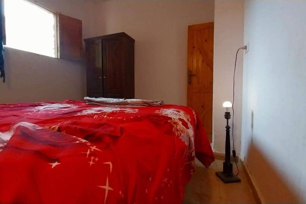 AMFIBIANHouse — 4