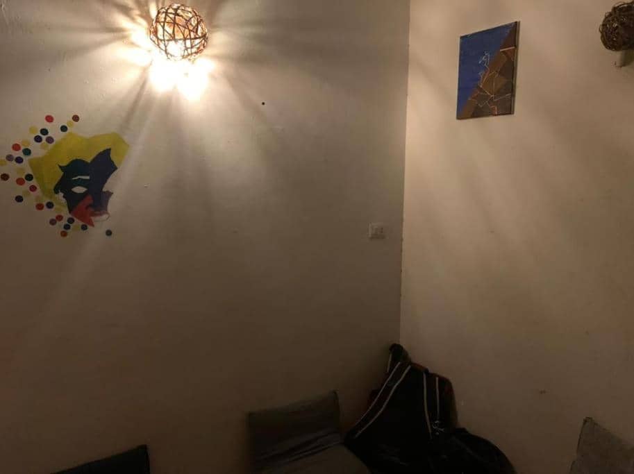 AMFIBIANHouse — 2