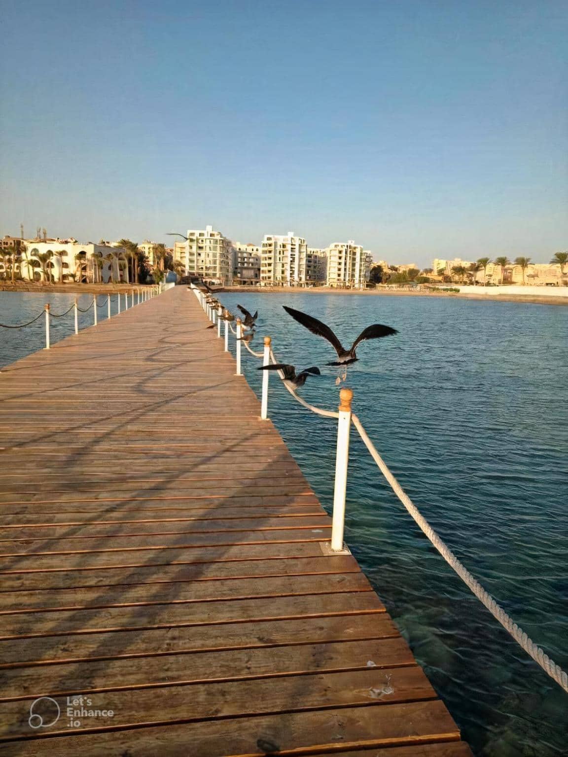 Hurghada Scandic Resort SSV- Private Sandy Beach Coral Reef Retreat with Free Wi-Fi — 5