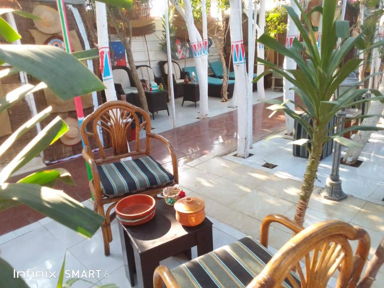peace garden hostel & camp — 3