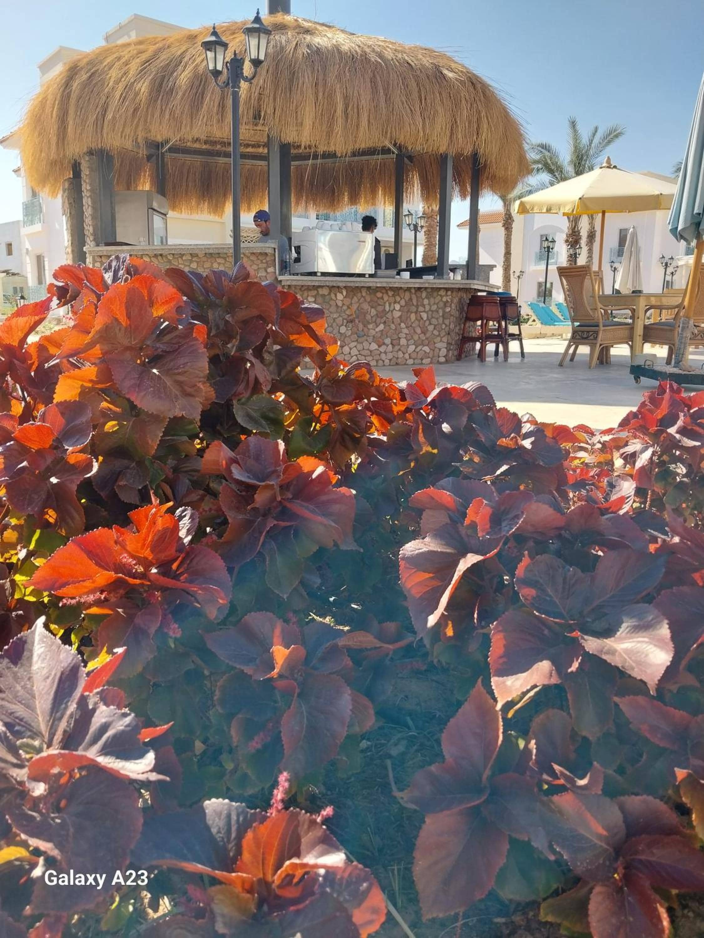Blue Residence Dahab — 2
