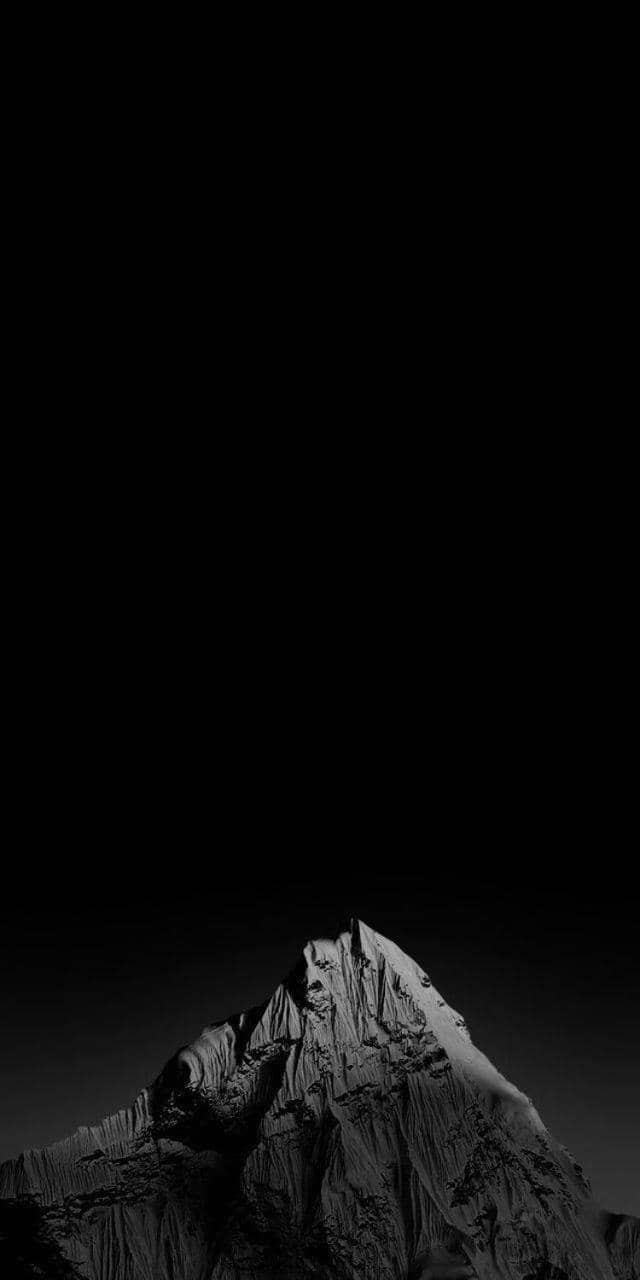 The Host — 2