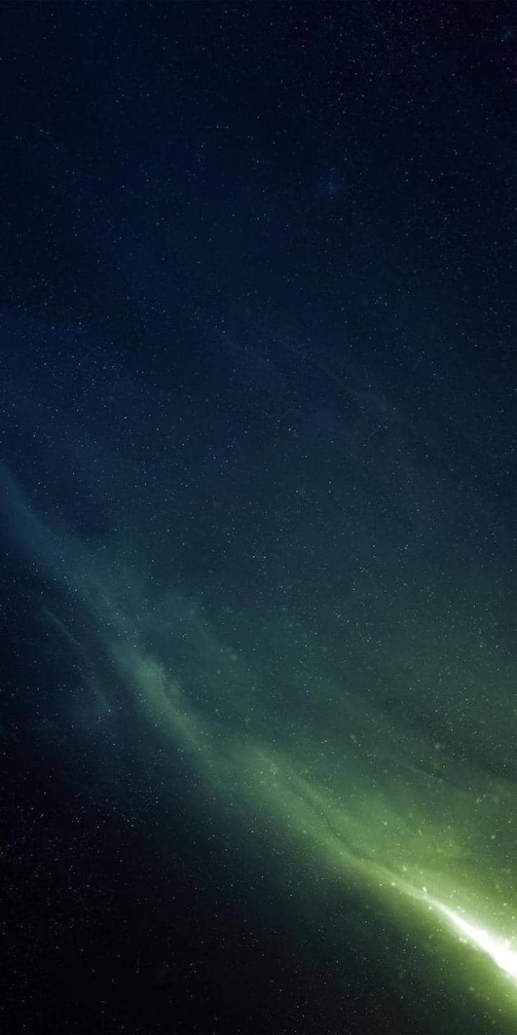 The Host — 3