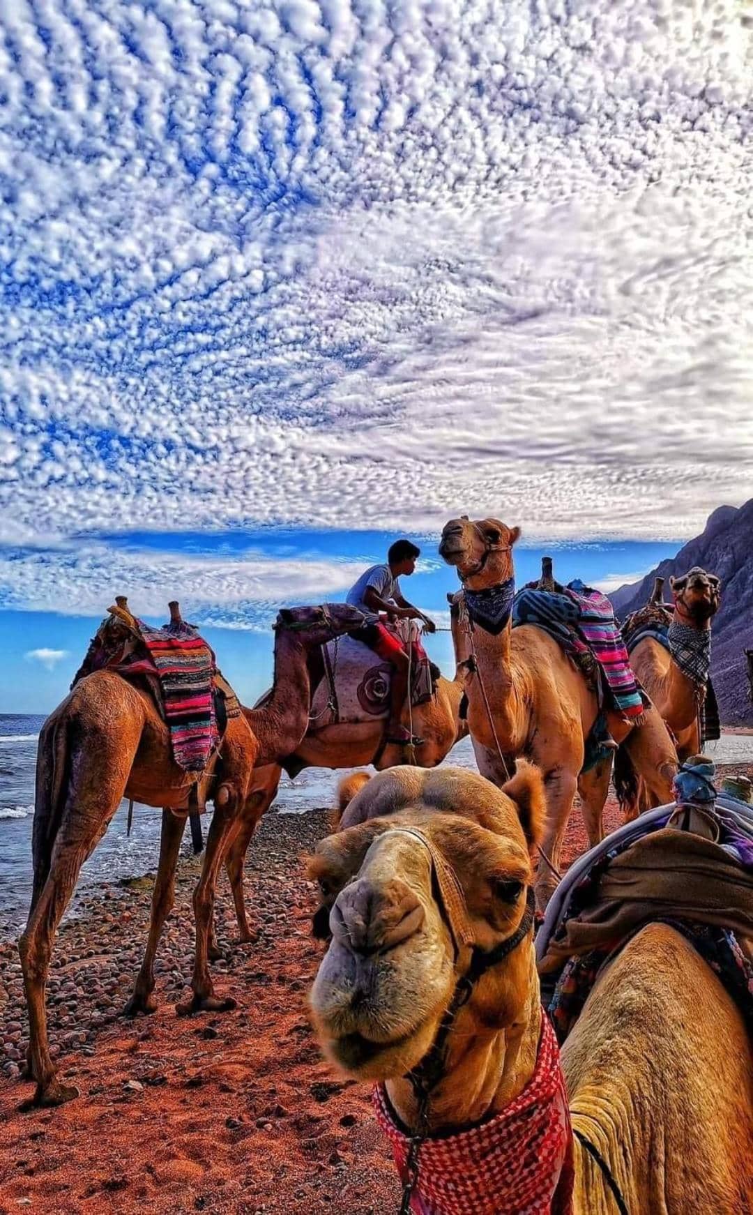 Sunny Dahab Resort Executive Chalet — 3
