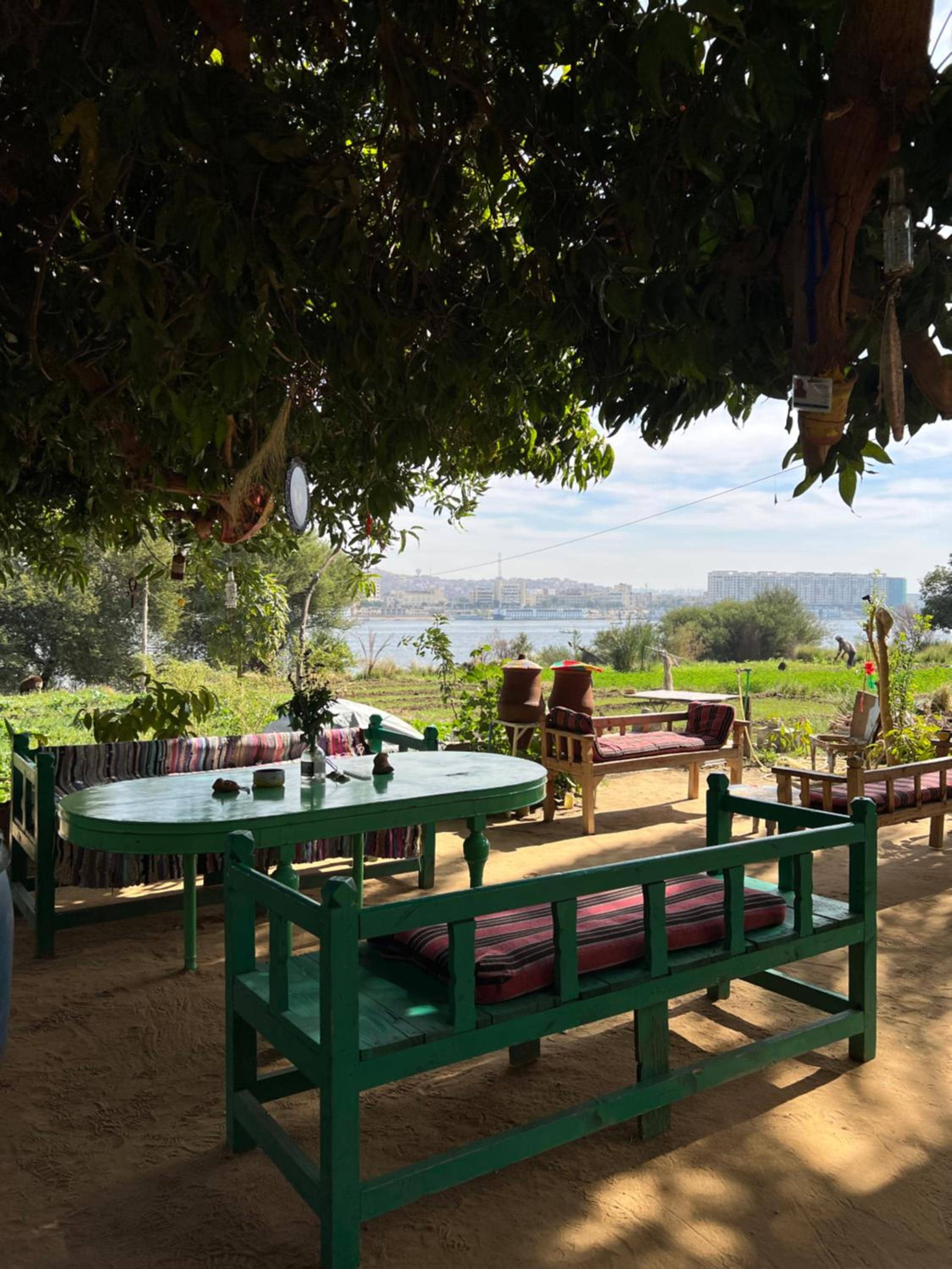 Salatoos Mango Garden and Guesthouse — 4