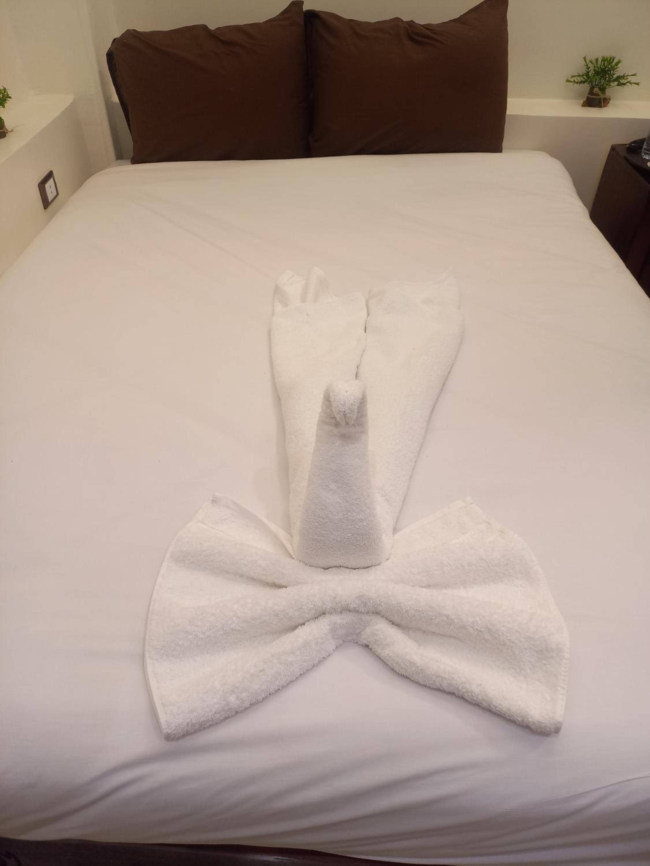 Basha Pyramids Inn — 5