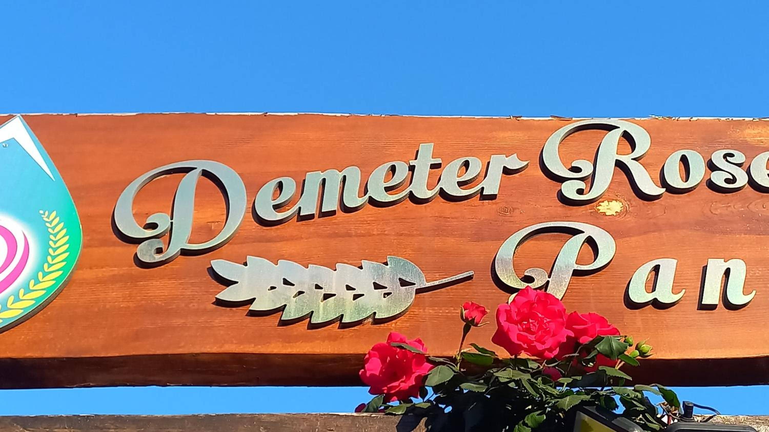 Demeter Rose Stonehouse Pansion — 3