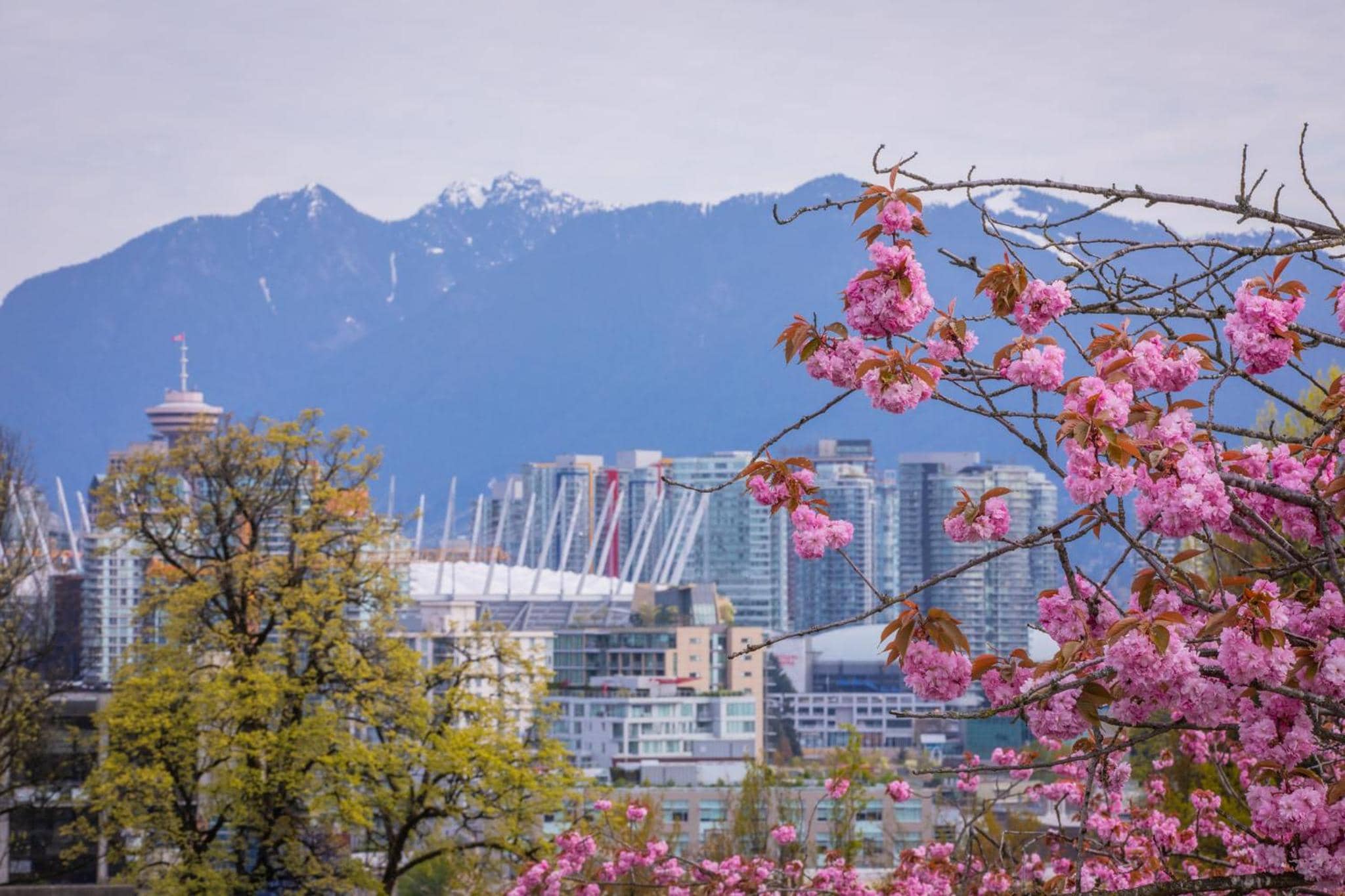 Holiday Inn & Suites Vancouver Downtown by IHG — 5