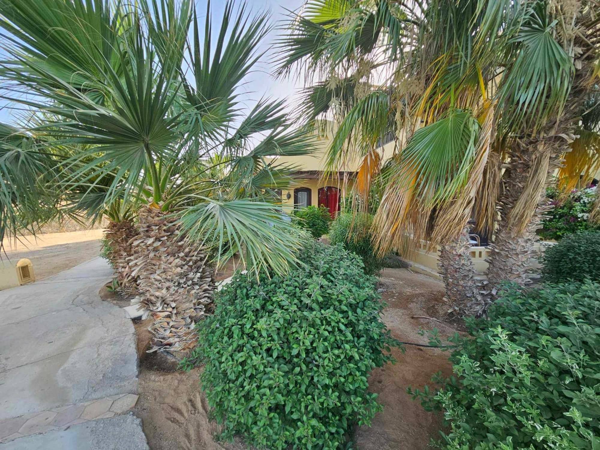 El gouna -Y1 Ground floor — 5