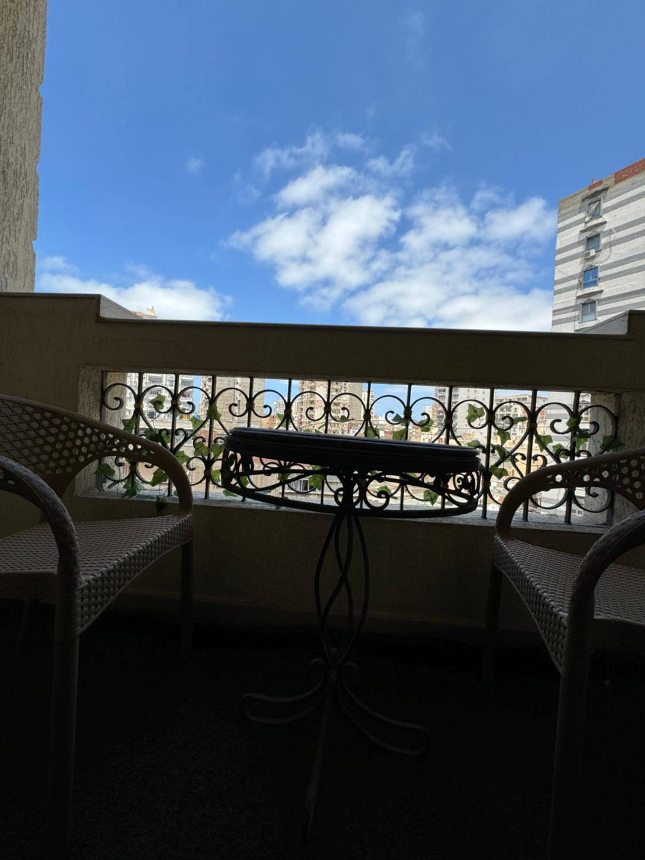 Alexandria Downtown Apartment — 2