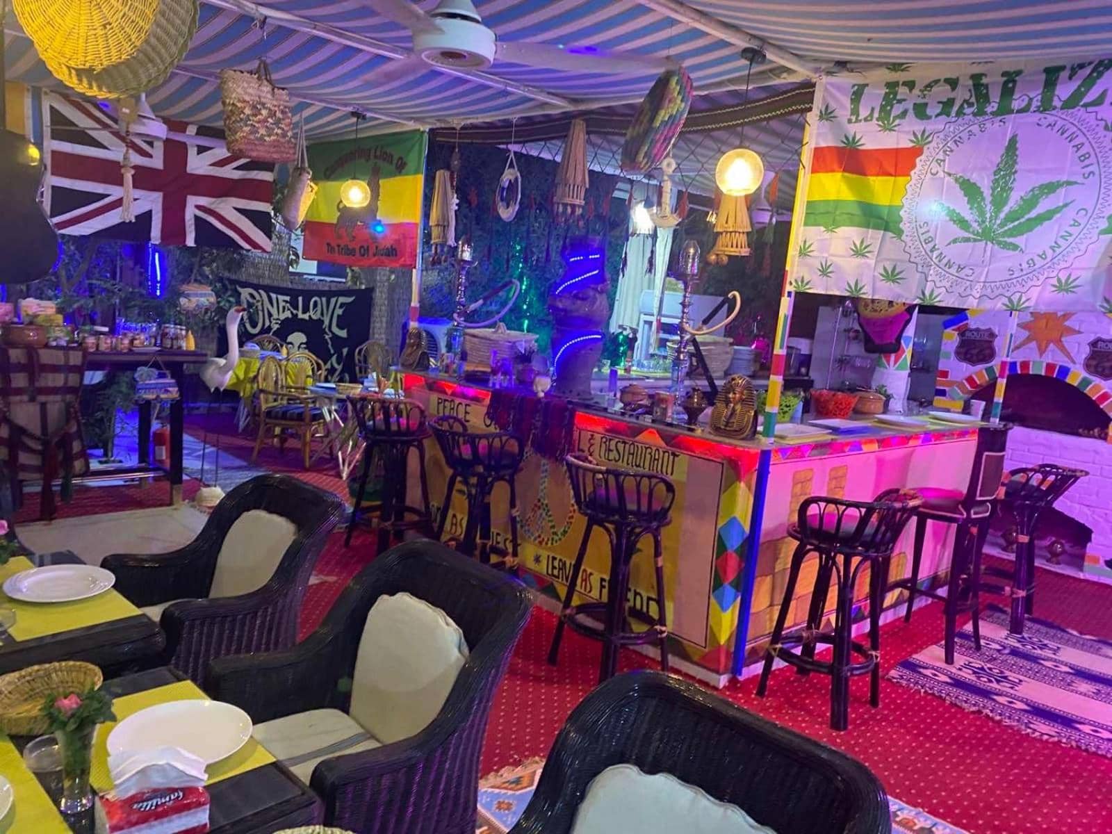 peace garden hostel & camp — 4