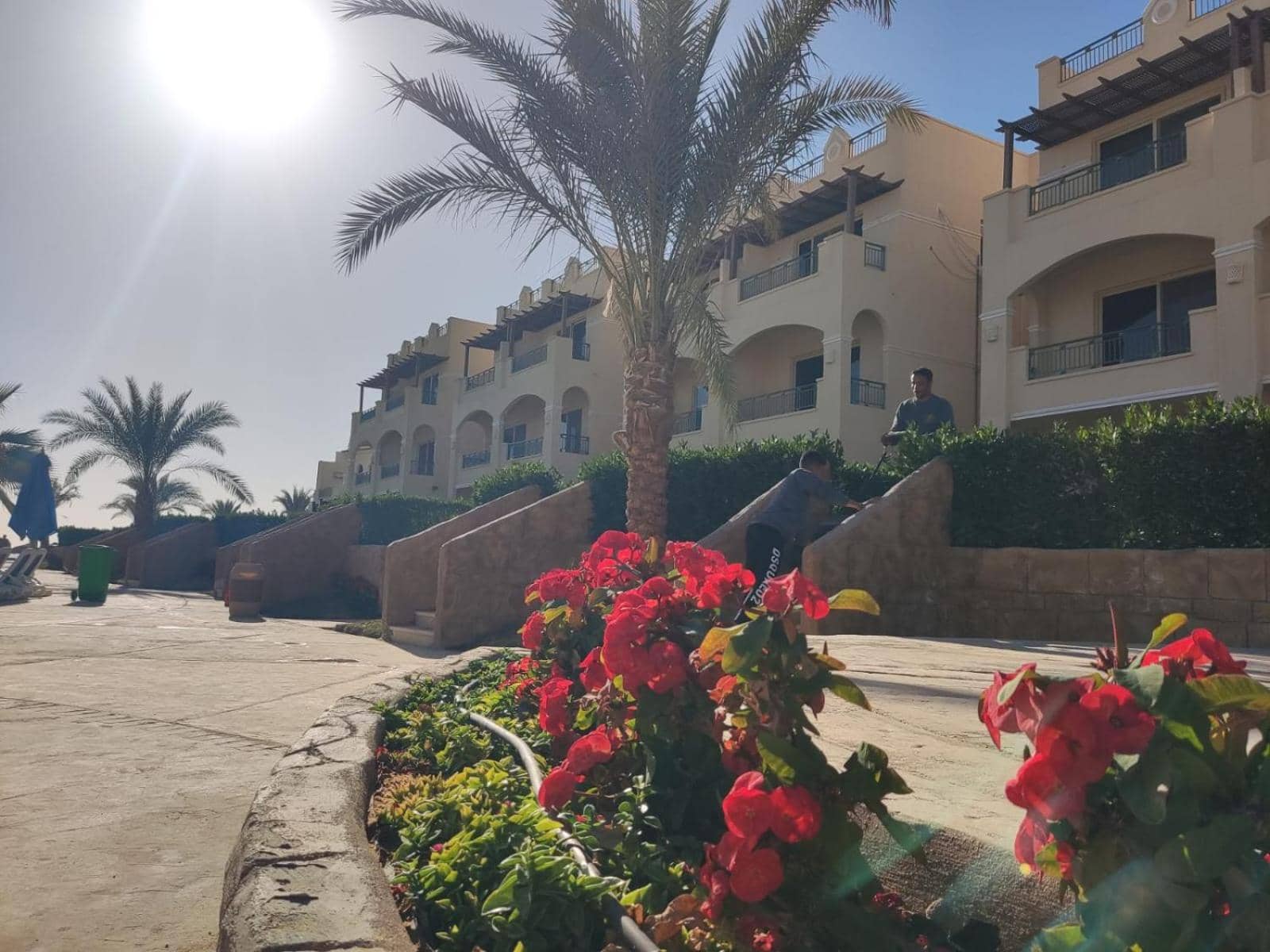 Lasirina palm beach for families only — 3