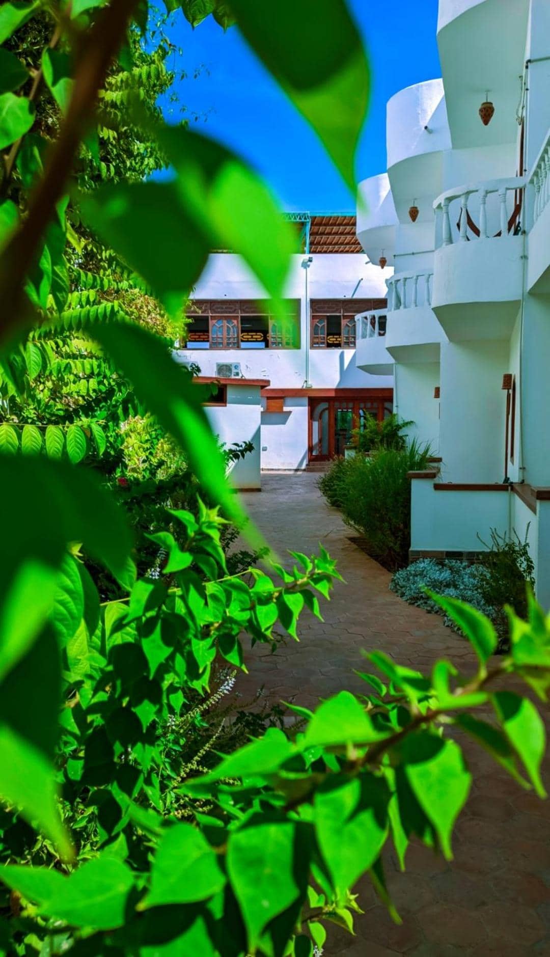 Ghazala Oasis Hotel Dahab