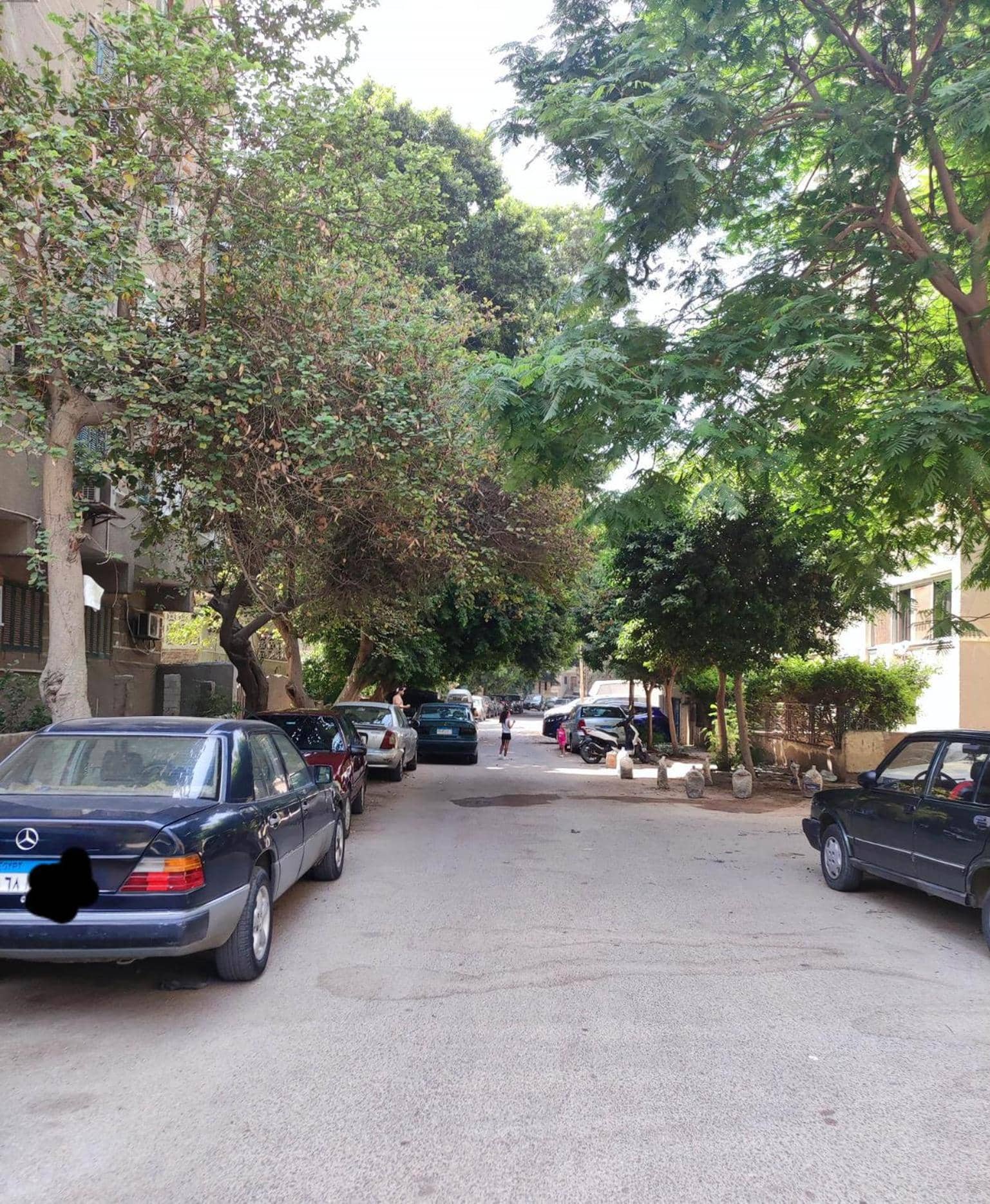Lovely & Calm Rooftop in Maadi 5 min from the Nile — 3