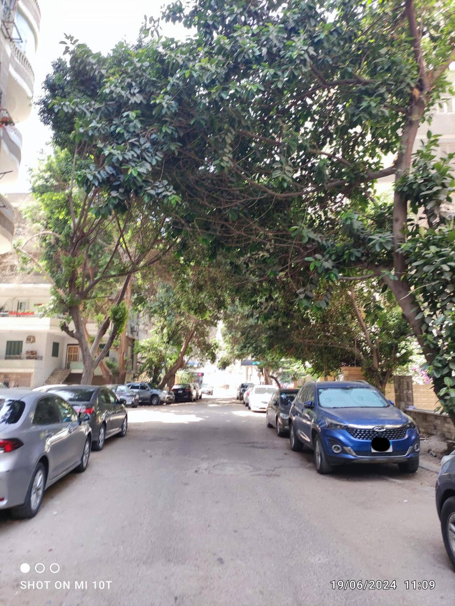 Lovely & Calm Rooftop in Maadi 5 min from the Nile — 5
