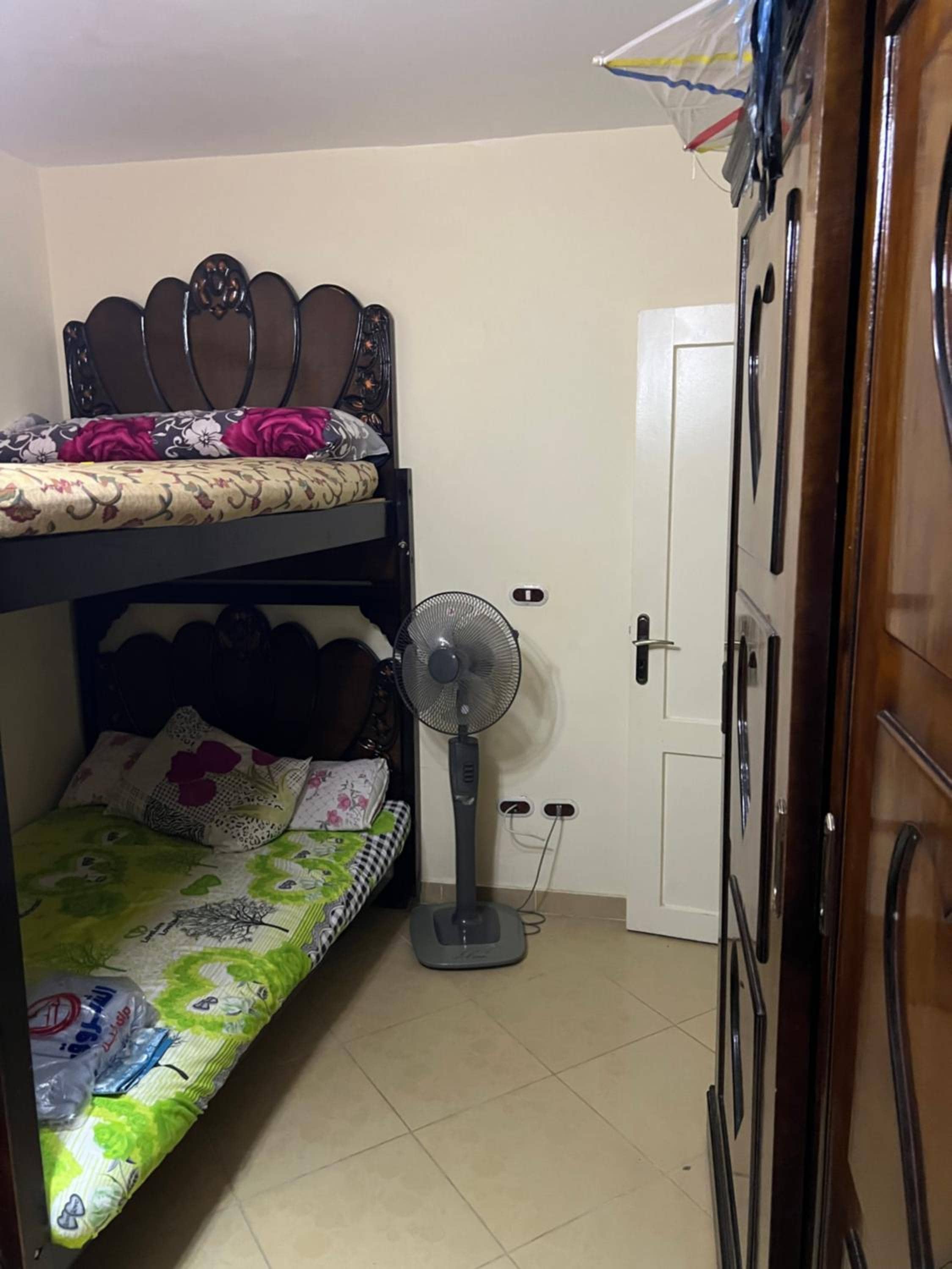 Almontza alexandrea — 4