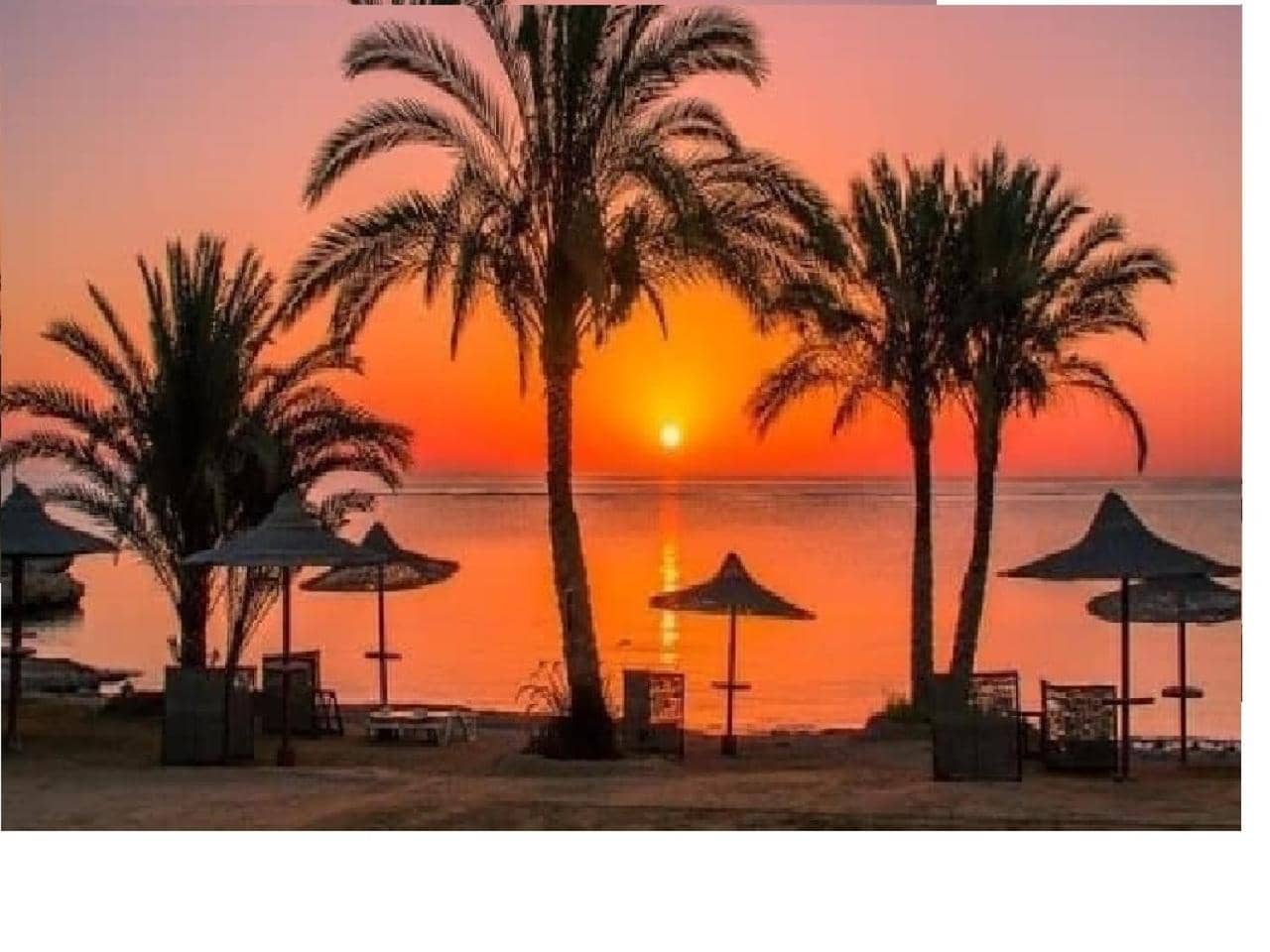 Sea View Private Studio with Kitchenette at Domina Coral Bay — 4