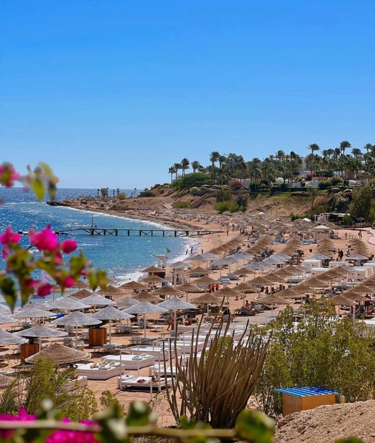Sharm Prestige Room 52 - Luxury sea view at coral bay