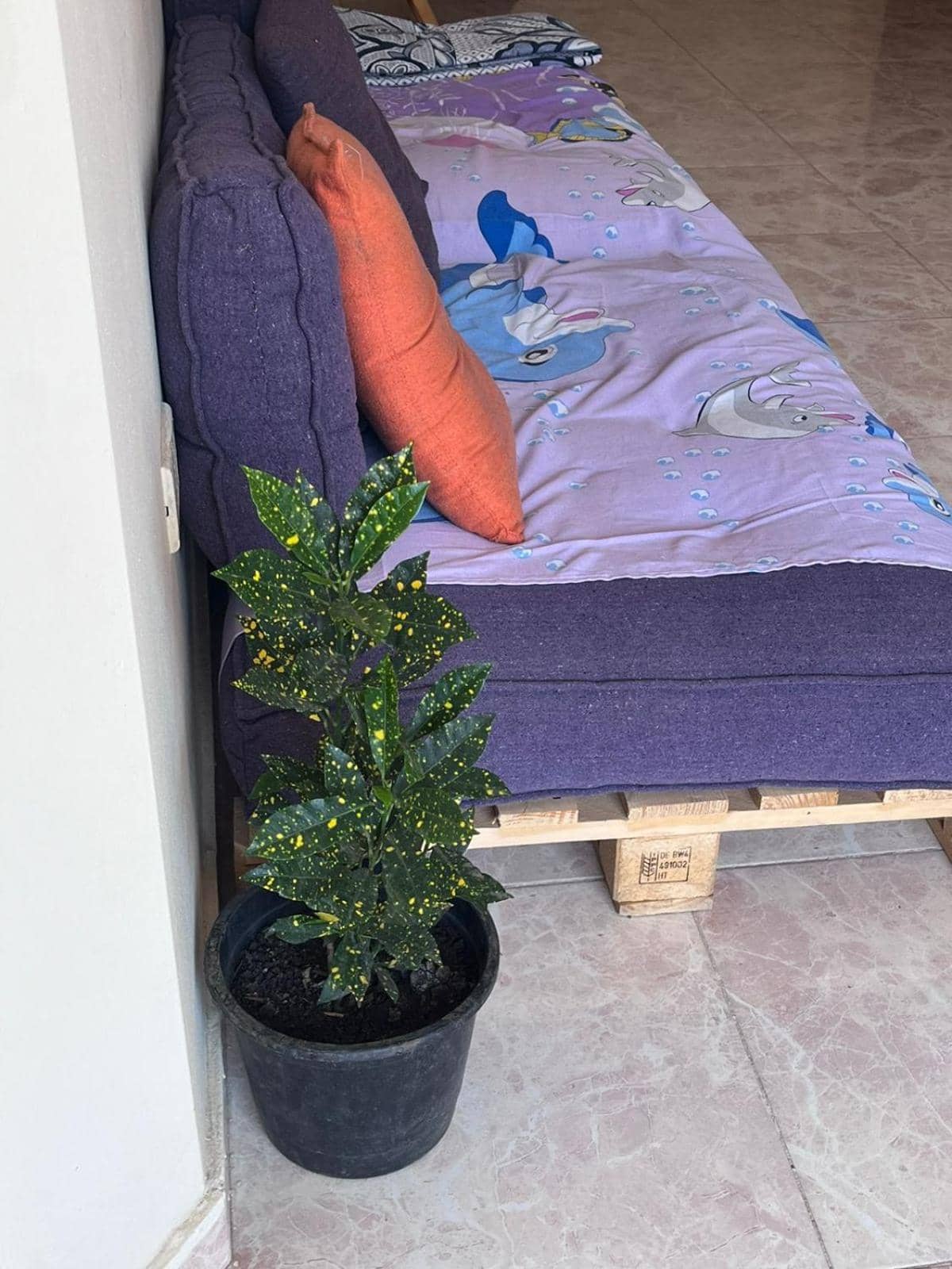 Taher Cairo Hostel — 5