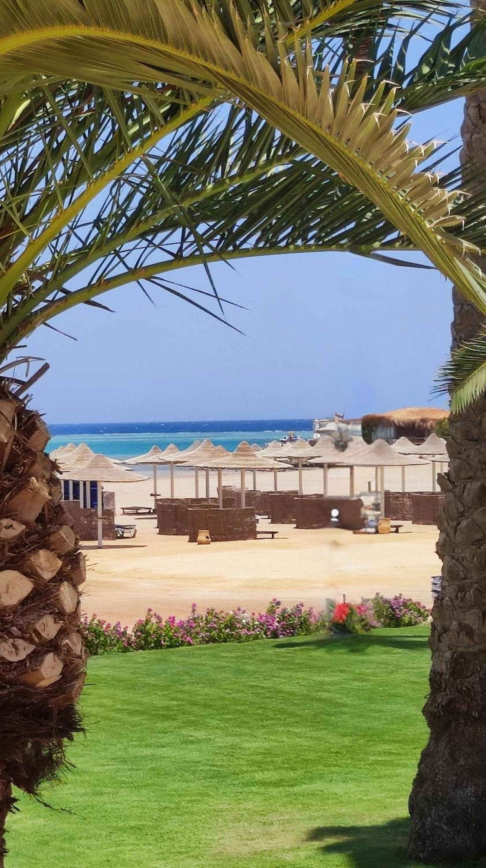 Chalet Stella Makadi Beach 5* — 3