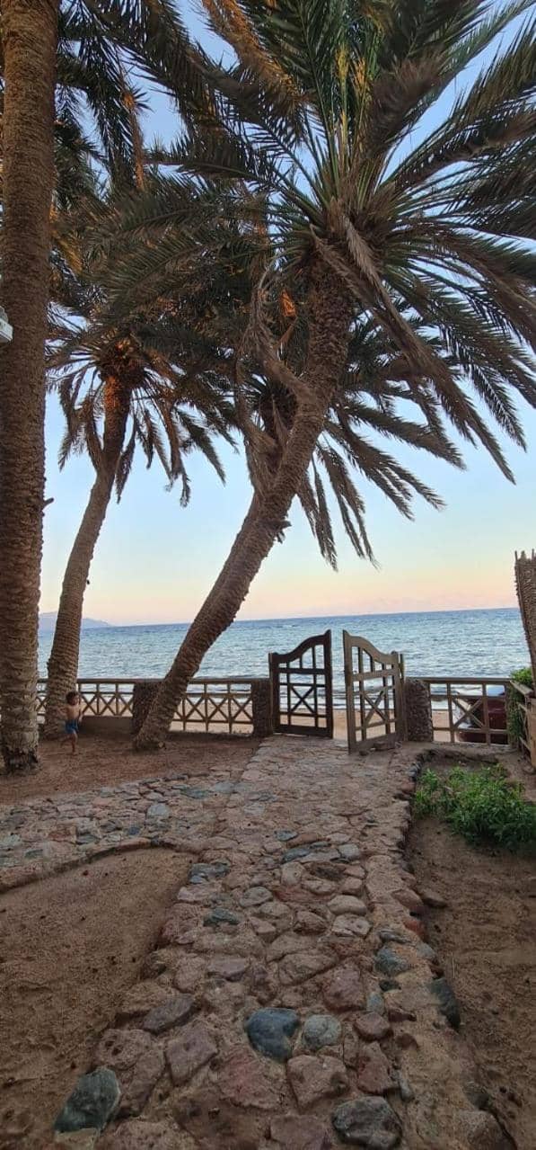 Dahab house sea — 4