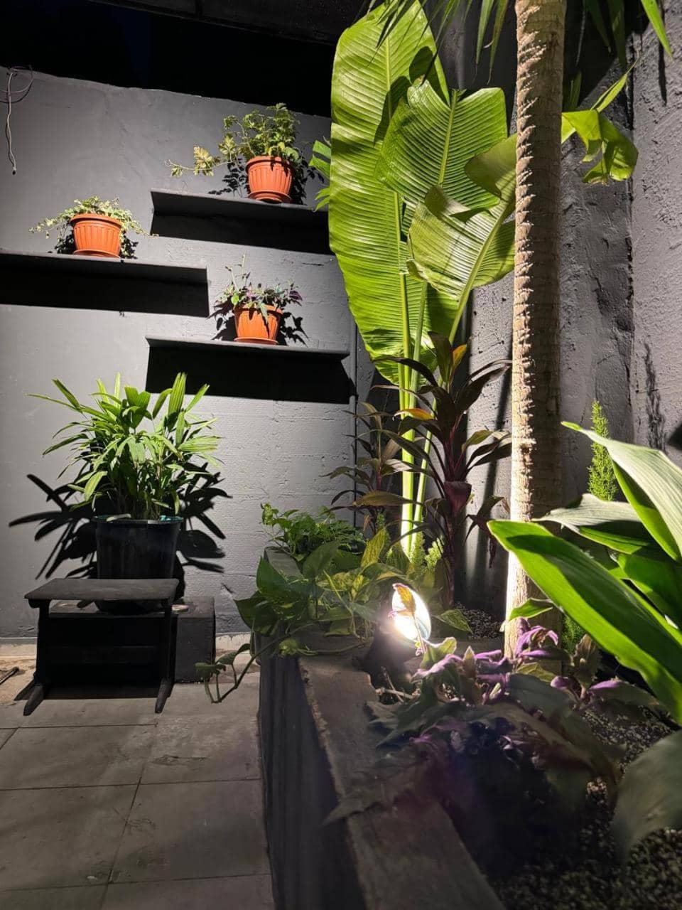 Cozy 1BR apartment with a private entrance & patio on the ground floor — 3