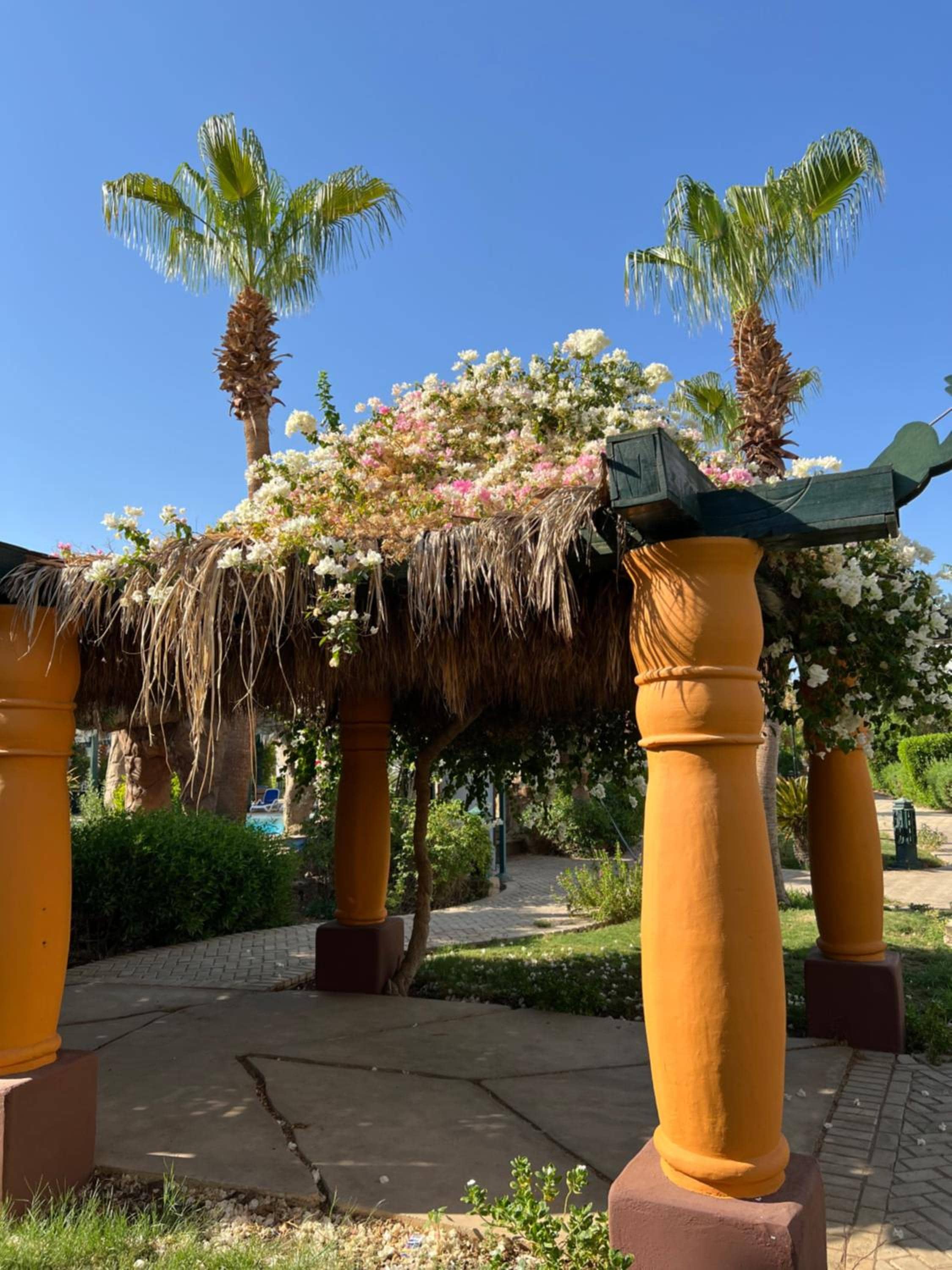 Delta Sharm 1 bedroom with Pool View WI-FI — 4