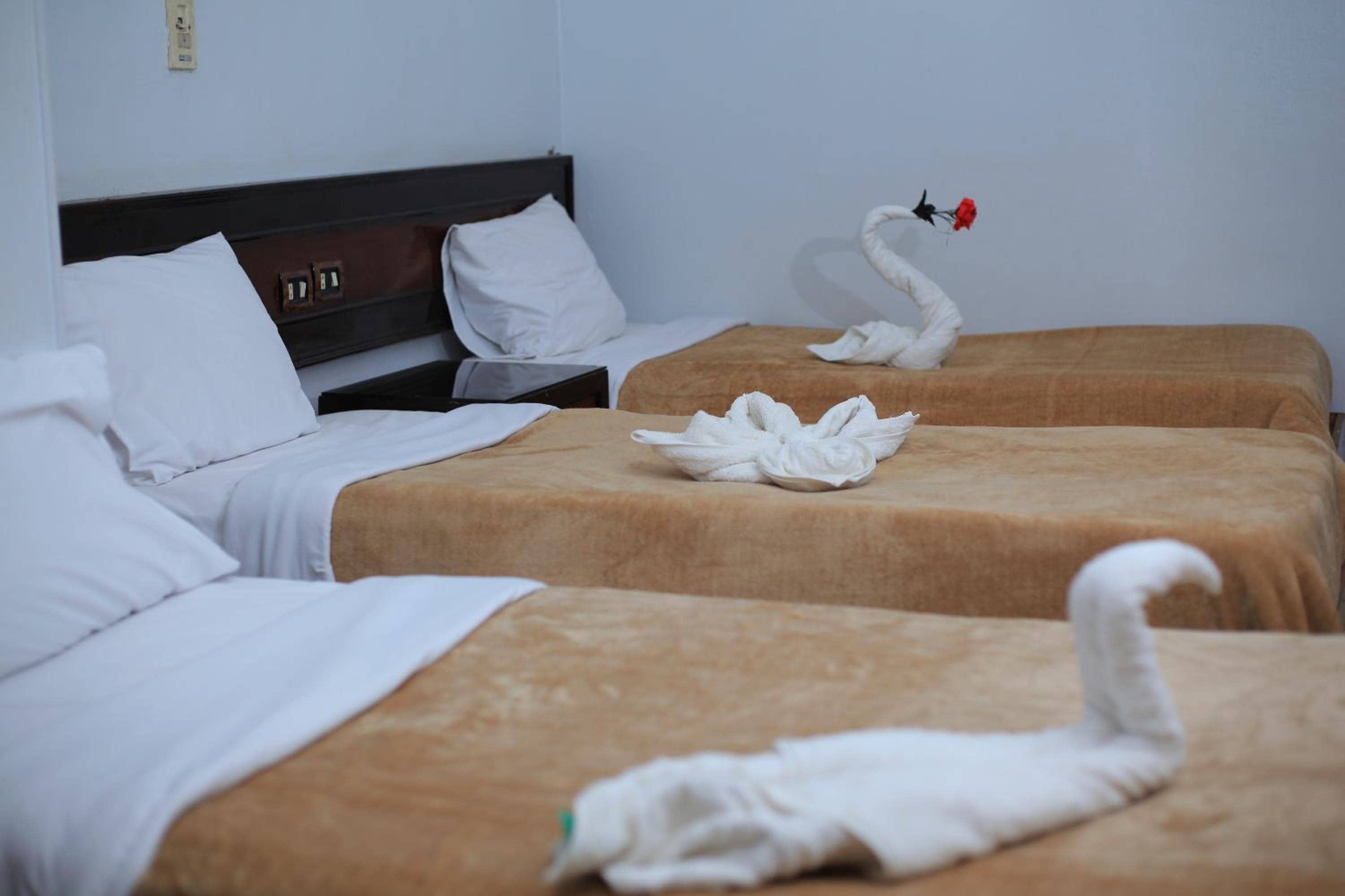 Oscar Hotel — 3