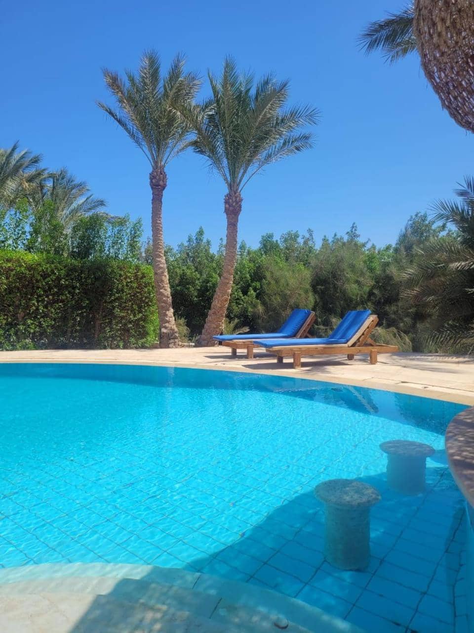 Cozy villa with private pool in Upper Nubia — 5