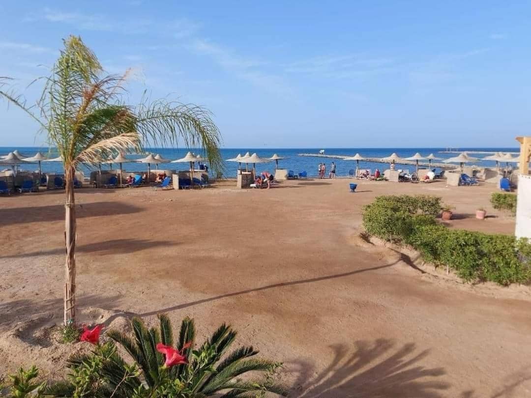 Turtles Beach resort hourghada Studio view sea view pool private beach jacuzzi pools air-conditioned restaurant on the beach jacuzzi security and a large s — 3