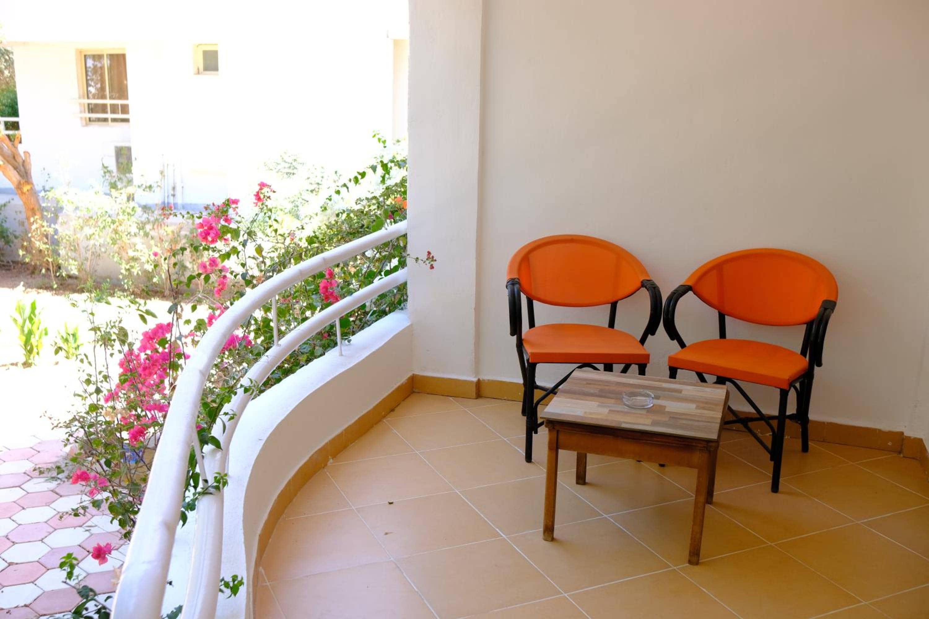 Viking club hotel
