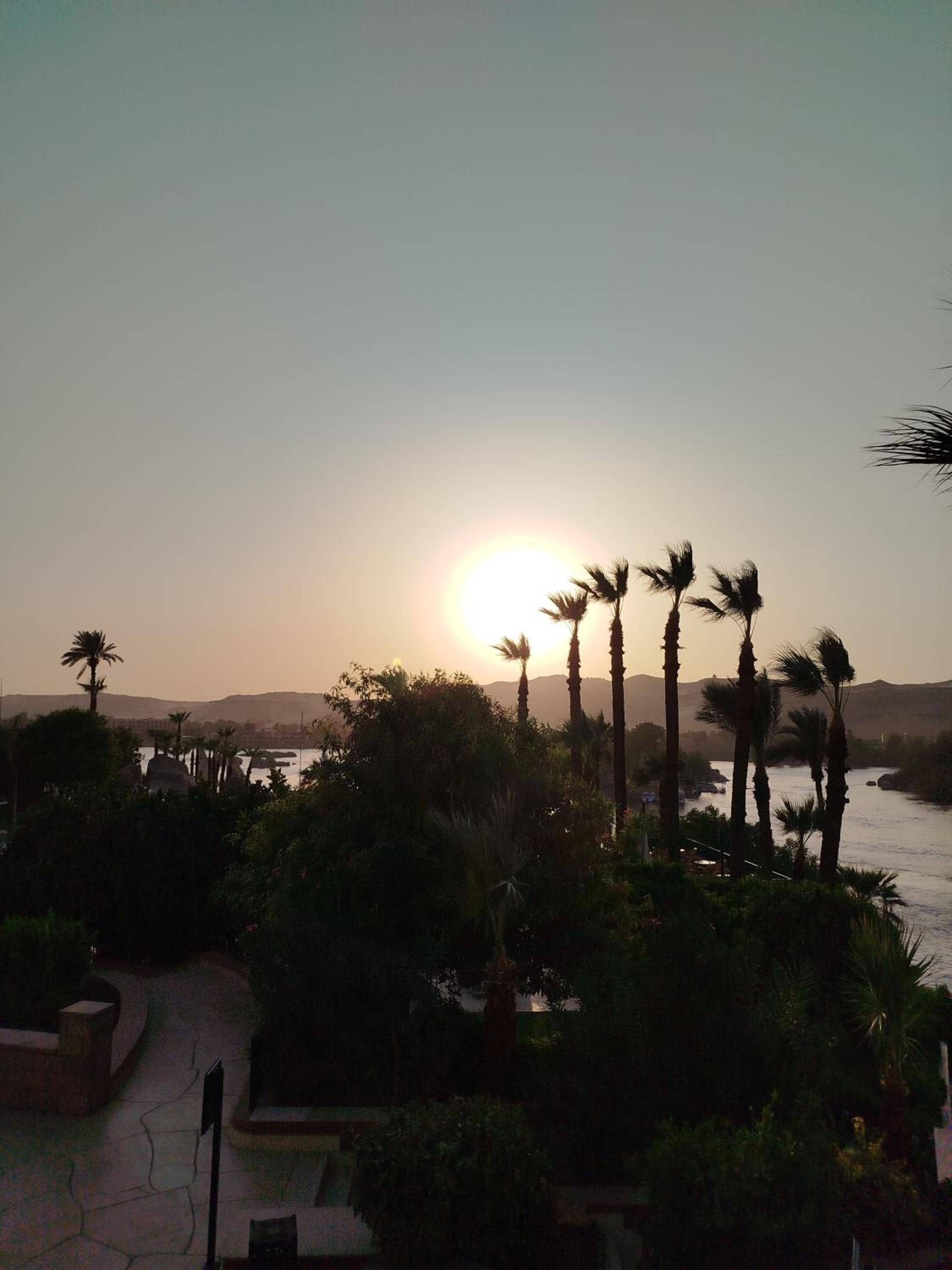Relaxing Felucca Trips