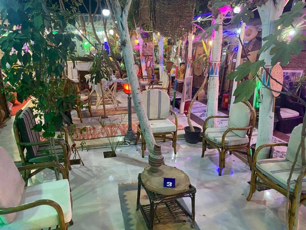 peace garden hostel & camp — 2