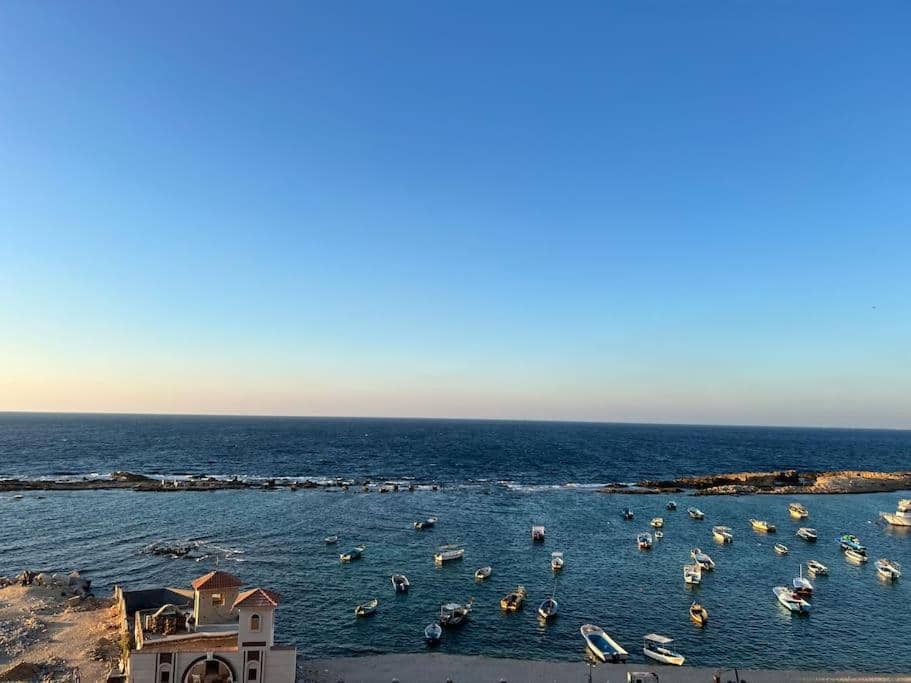 Wonderful 3 Bedrooms Apartment For Rent In Miami Alexandria Direct On Sea