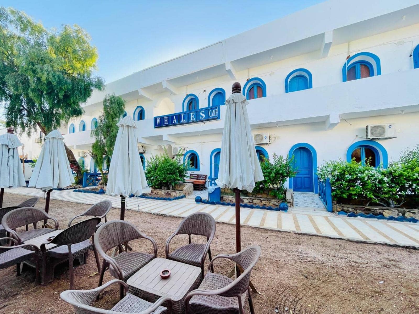 whales camp dahab — 5