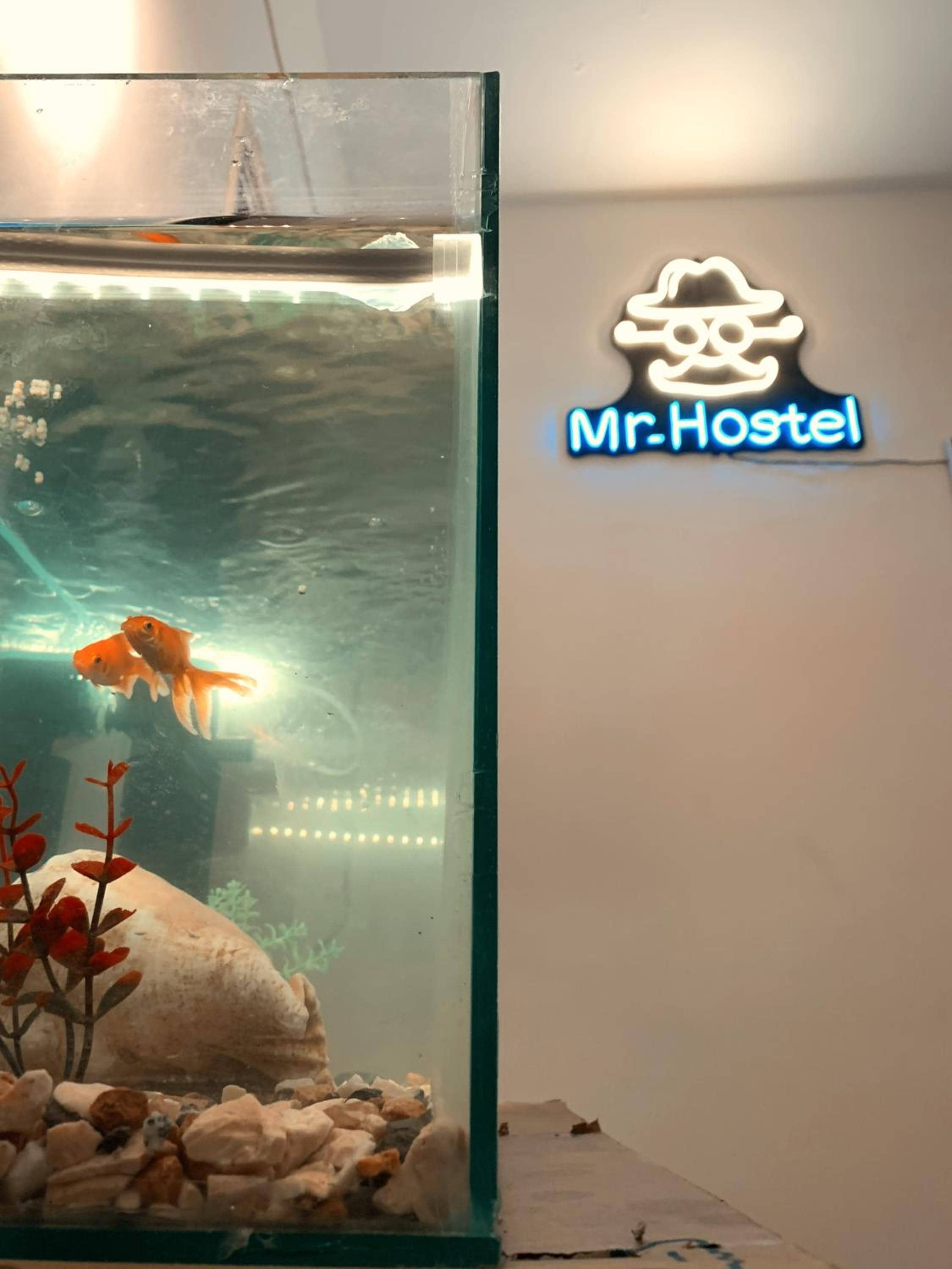 MRHostel Luxor