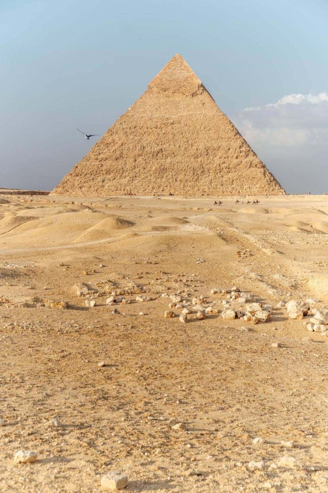Pyramids International INN — 5