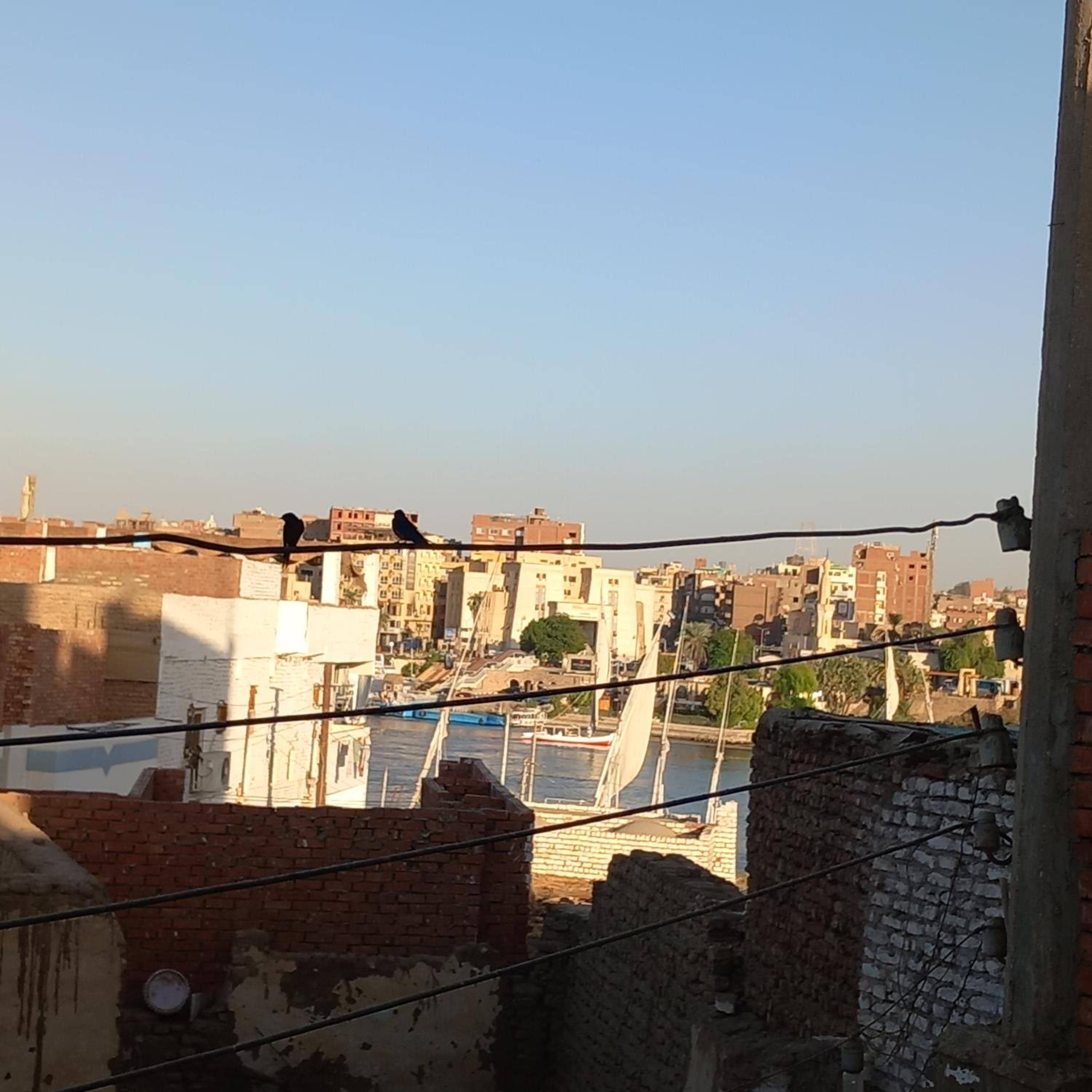Hashem Nubian Guest House — 4